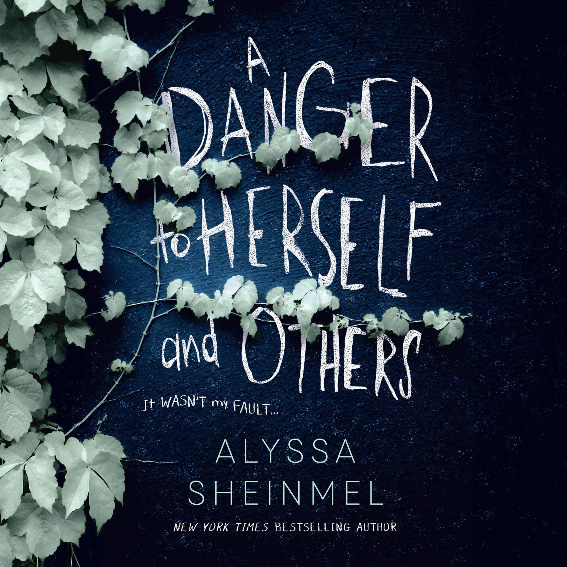 Cover art for A Danger to Herself and Others
