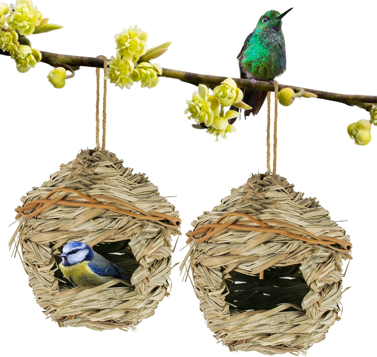 Pack 2 Nidos para Pájaros Pequeños de Hierba Natural 13x13x16cm Redondo - Casita de Pajaro Colgante Exterior - Casa Pajaro Jardín