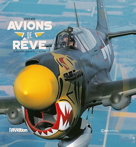 Avions de rêve: Les plus beaux avions de collection en vol