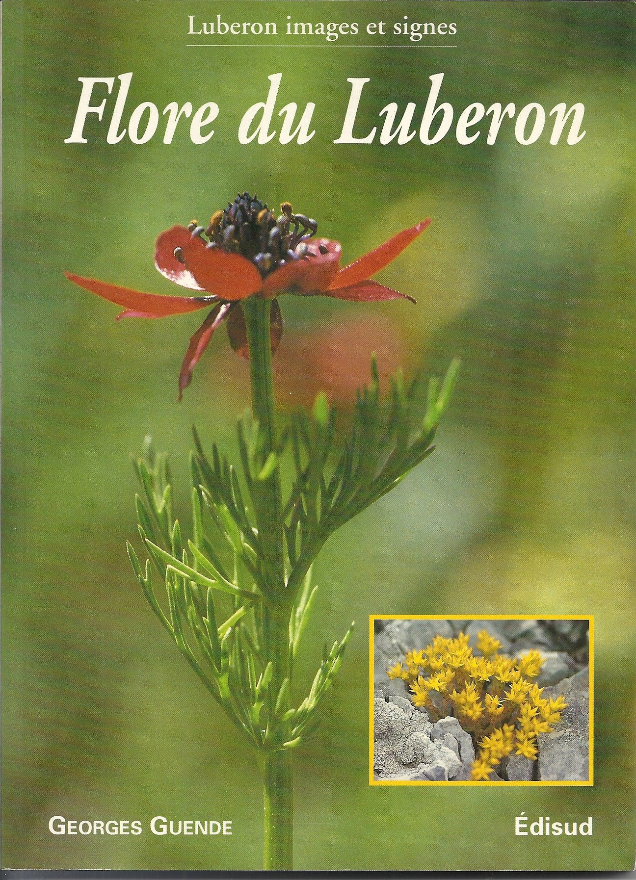 Flore du Luberon