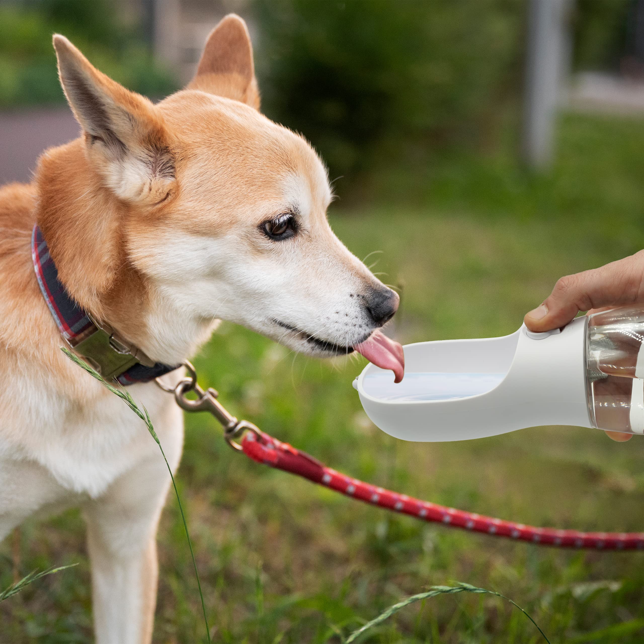Borraccia Per Cani 550ML Con Serbatoio Cibo - Portatile E Antigoccia - Foto 5