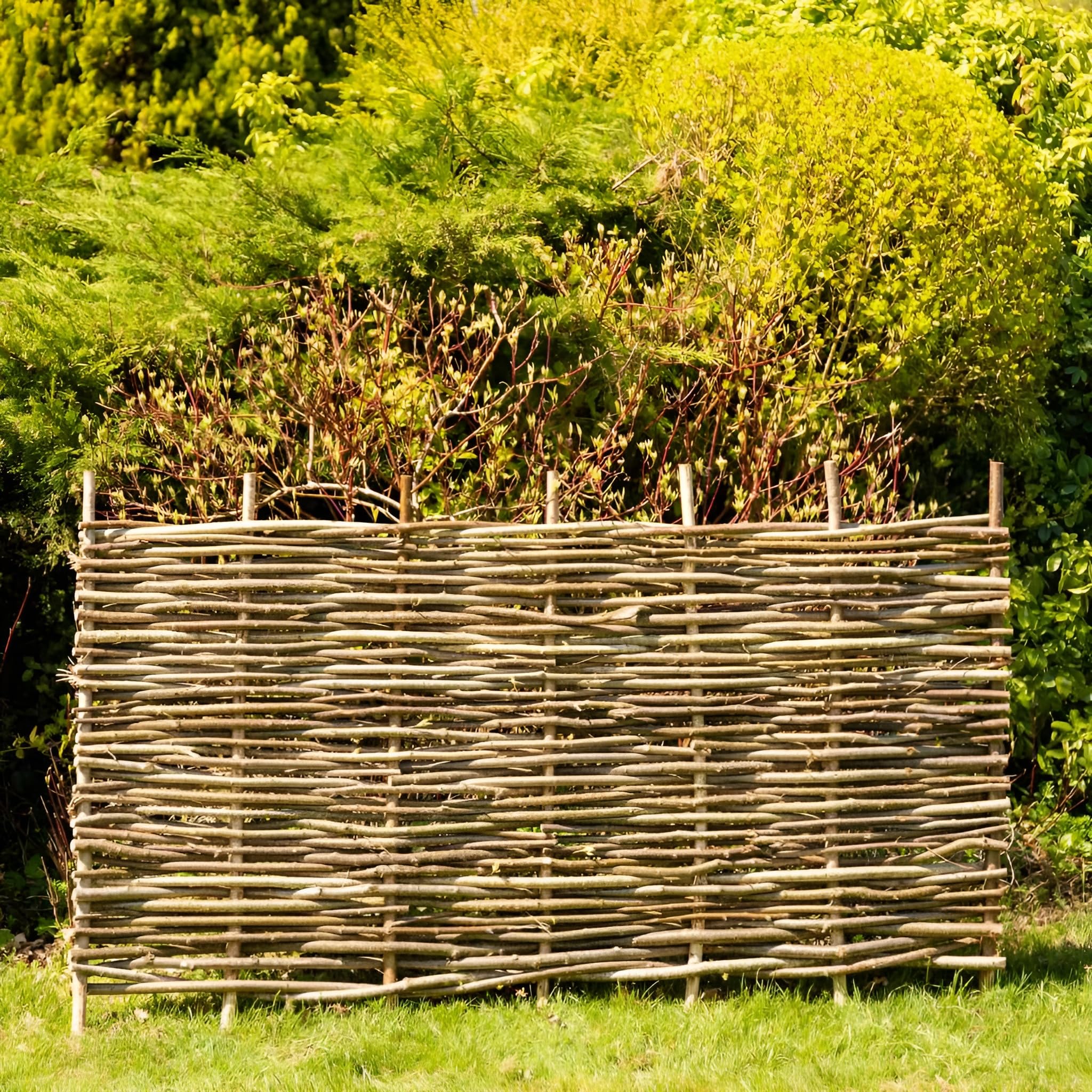 Papillon Brown Premium Hazel Hurdle Woven Wattle Garden Fence Panel (1.8M X 0.6M)