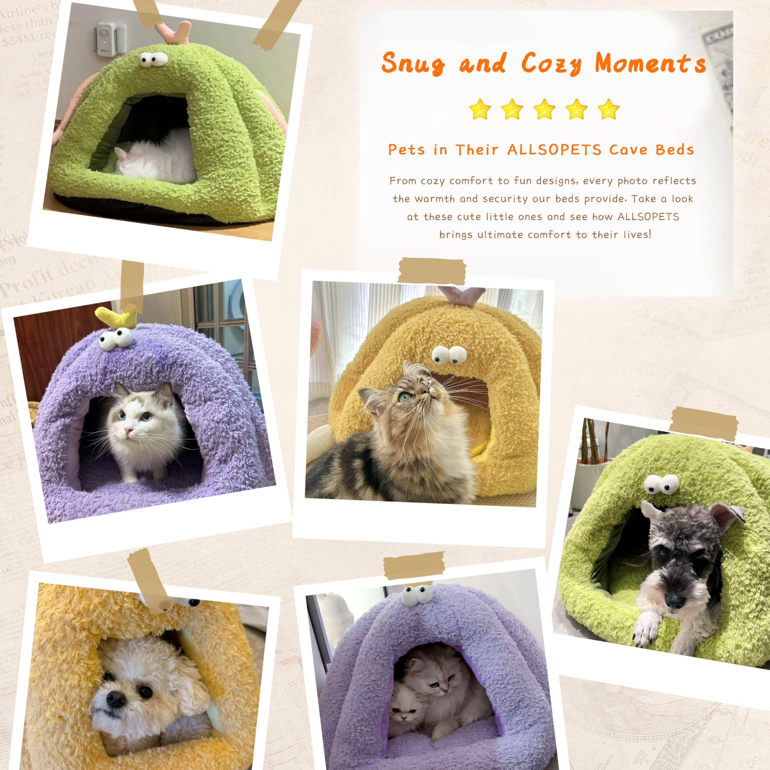 Niche pour chat – Tente confortable pour chats et petits chiens, lit igloo chaud avec coussin amovible lavable – Nid d'intérieur doux pour chiots