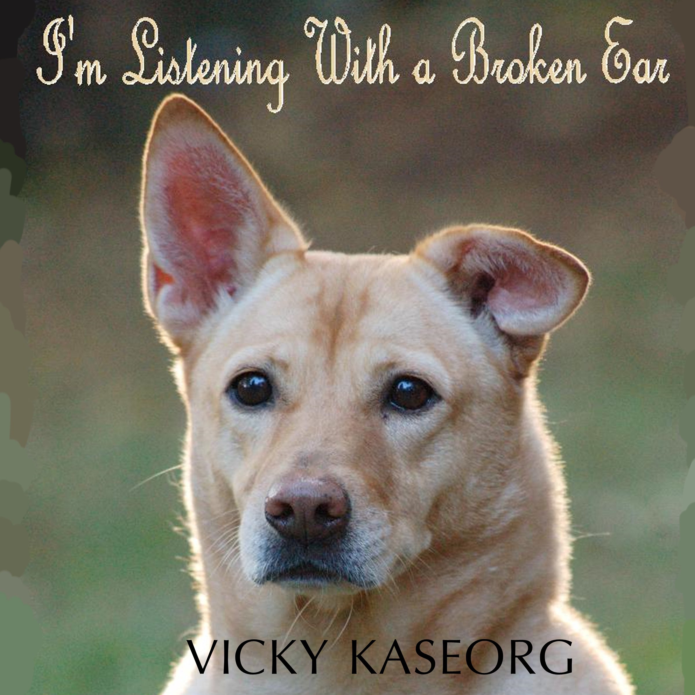 Cover art for I'm Listening with a Broken Ear