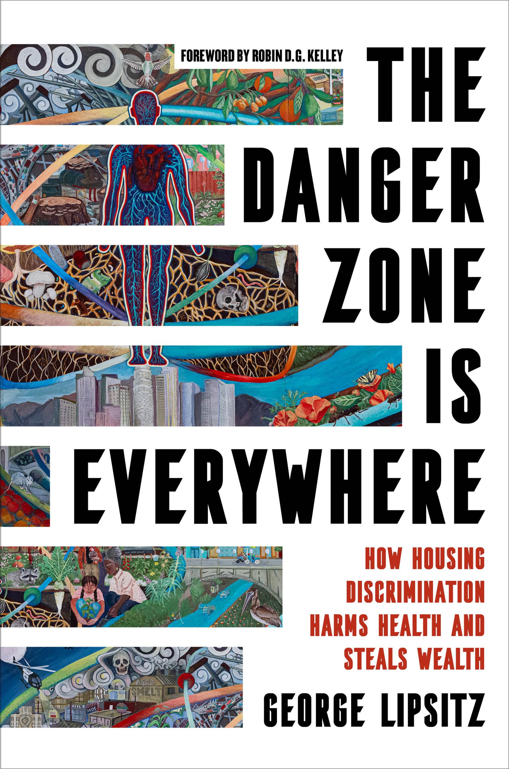 The Danger Zone Is Everywhere by George Lipsitz, Robin D.G. K... - 9780520404403