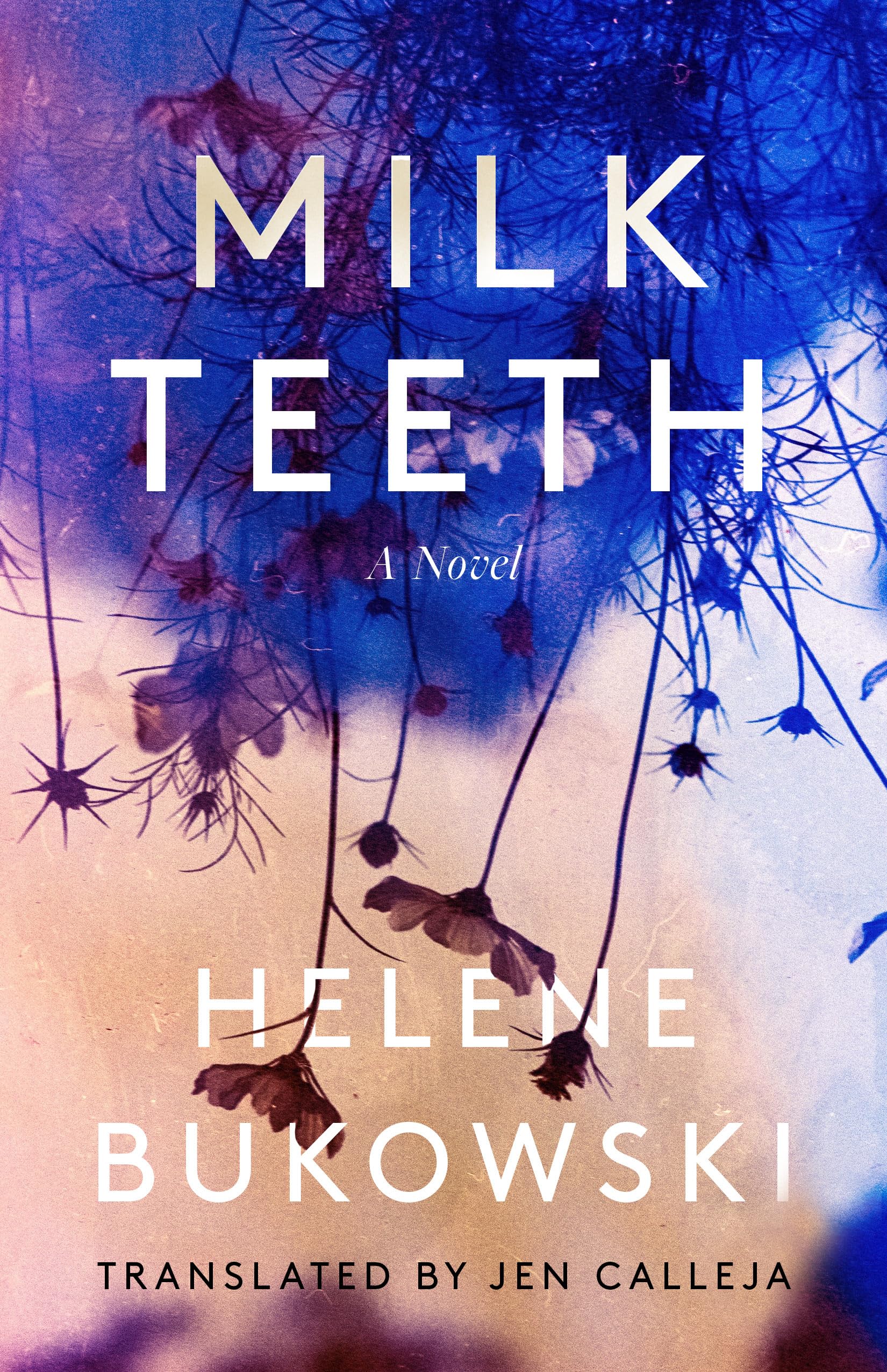 Buy Milk Teeth — BookShops.in