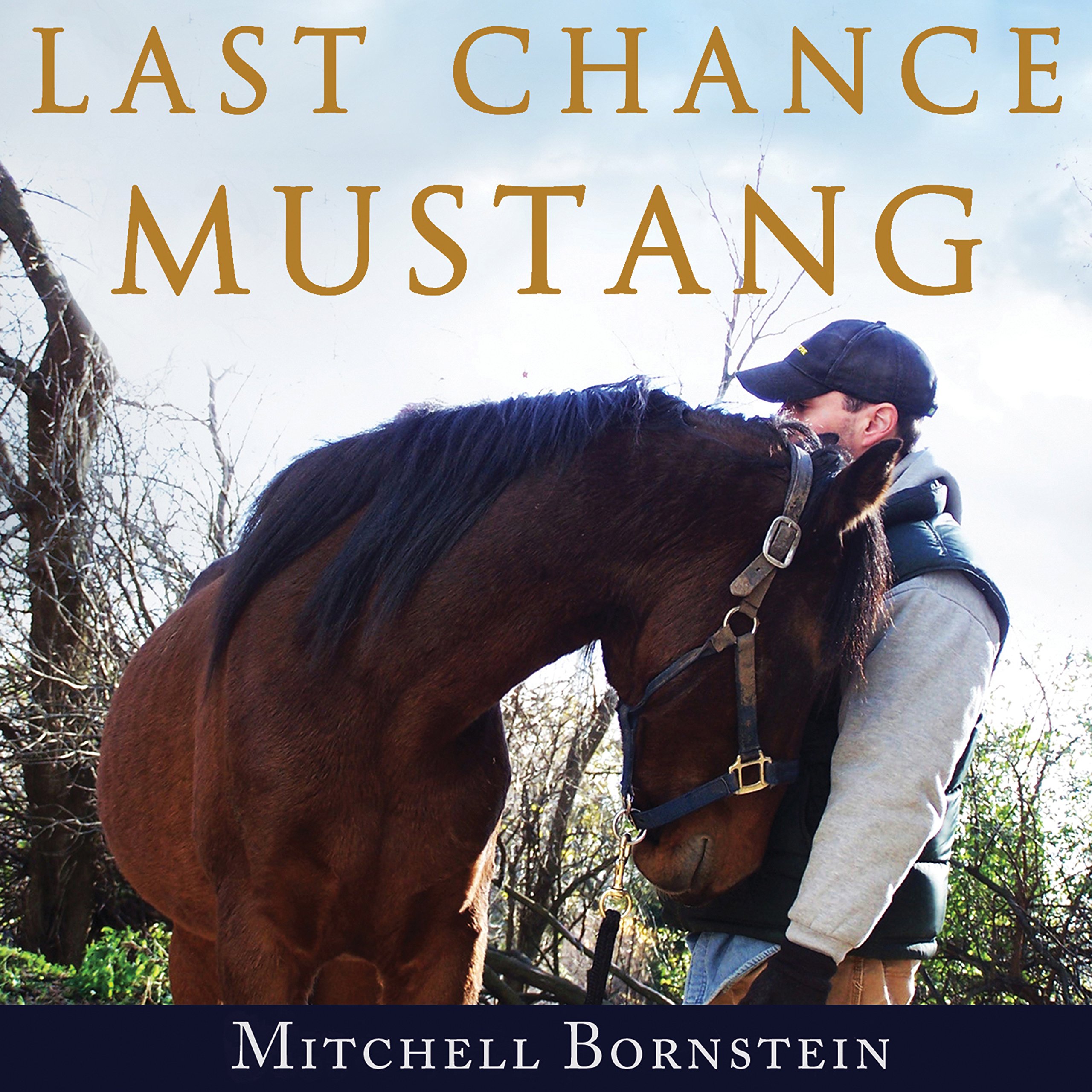 Cover art for Last Chance Mustang