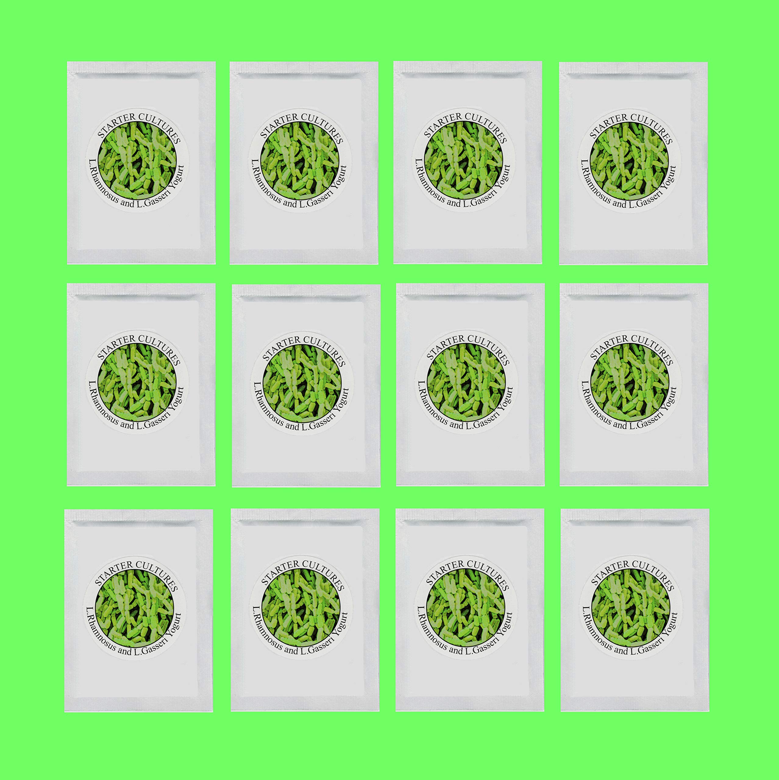 Buy Yogurt Starter Cultures Pack of 12 FreezeDried Sachets for