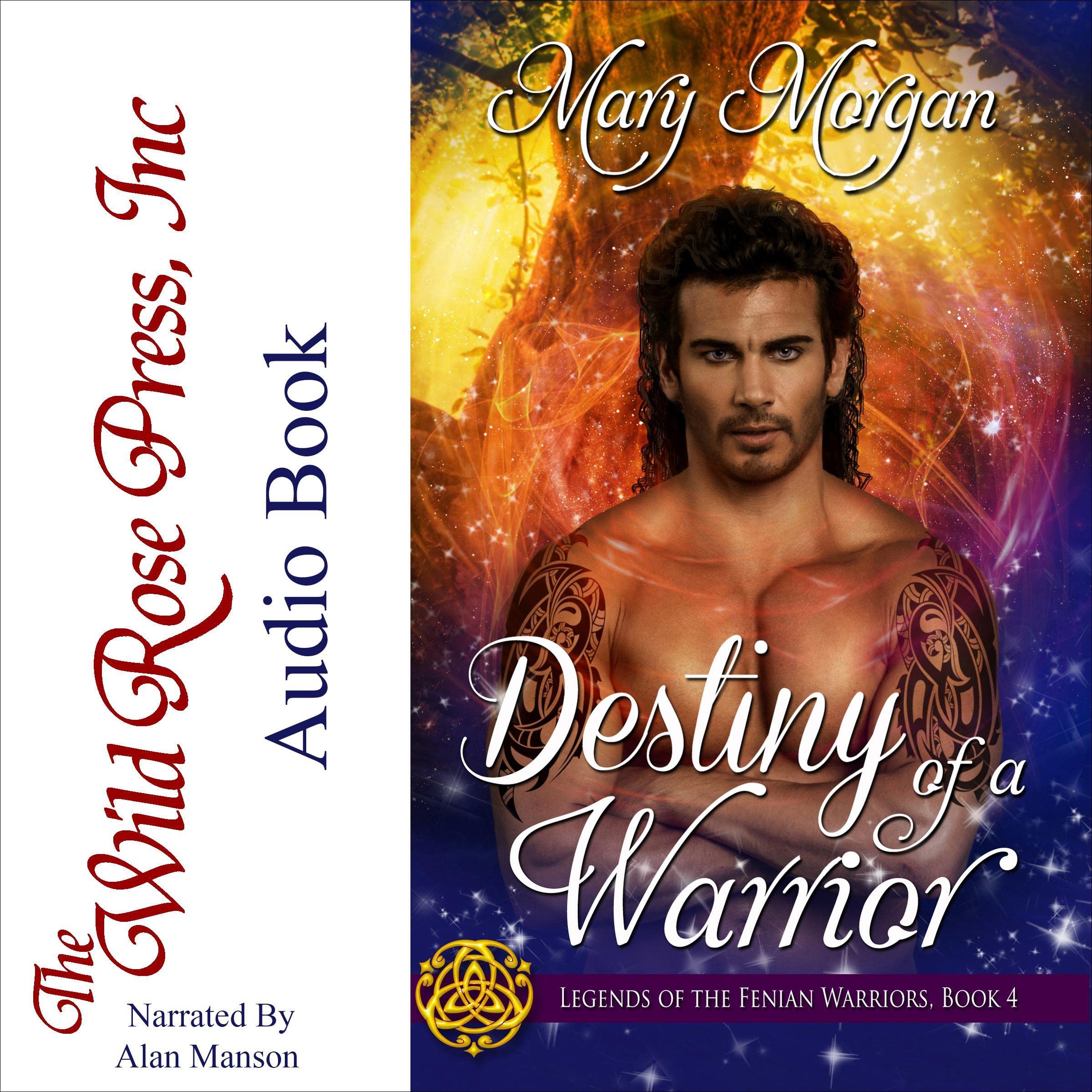 Cover art for Destiny of a Warrior