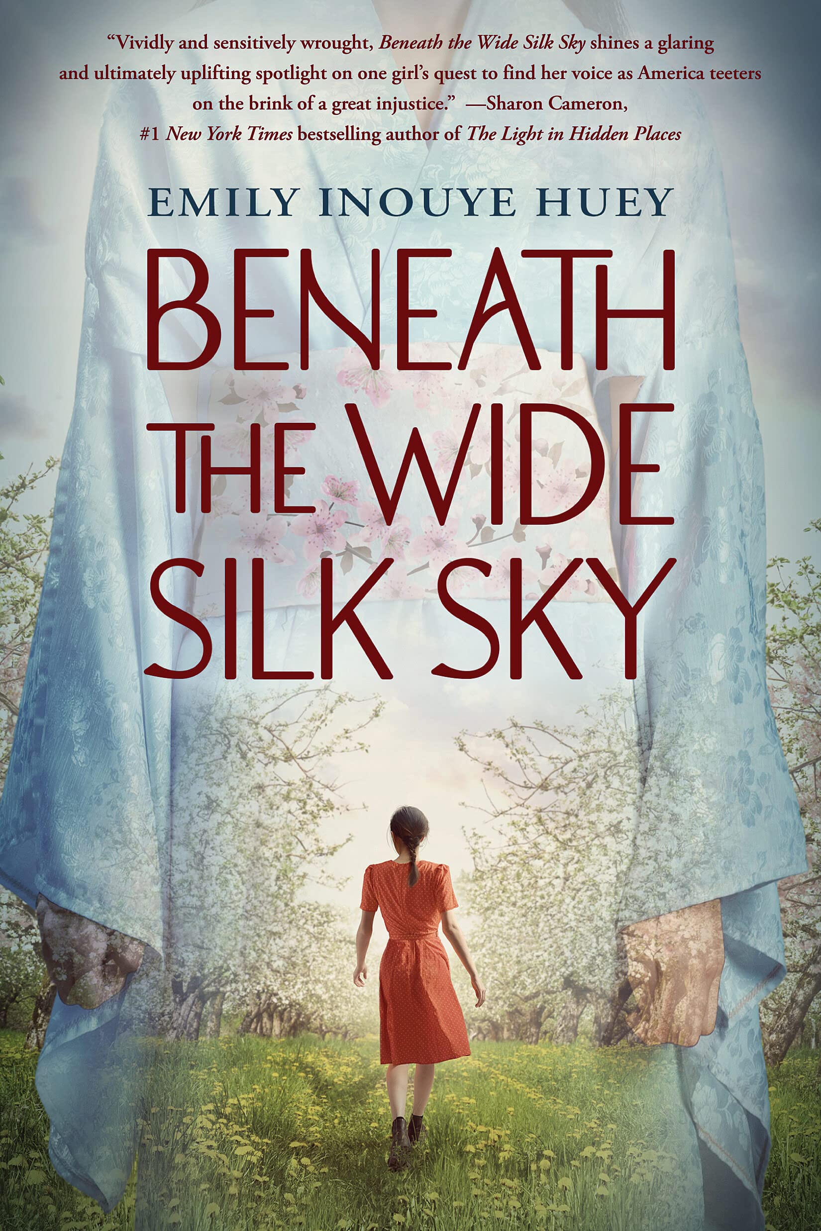 Buy Beneath the Wide Silk Sky — BookShops.in