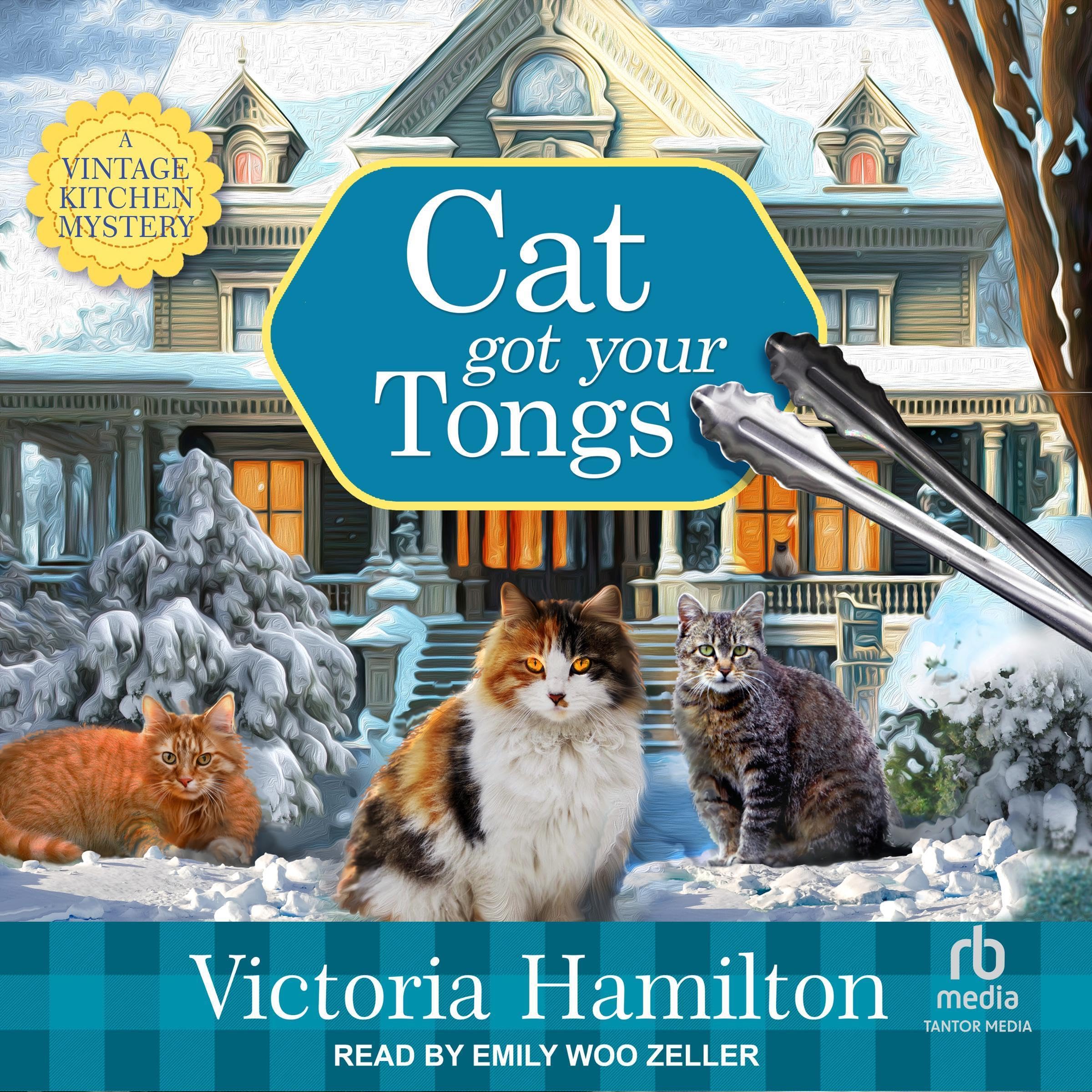 Cover art for Cat Got Your Tongs