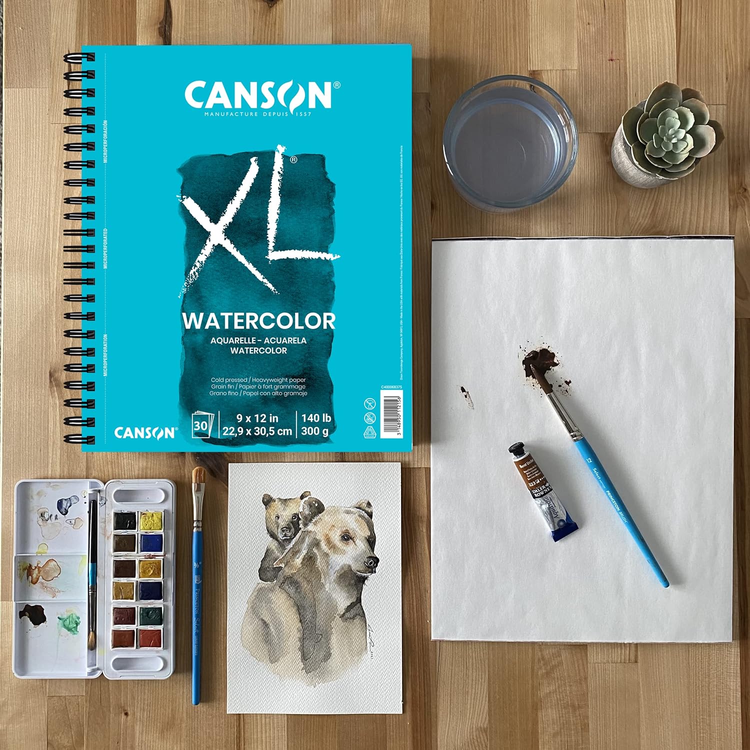 Canson XL Watercolor Pad, 140lb, Wire Bound, 36 Sheets, 9 by 12 Inches