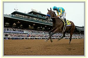Breeders' Cup: American Pharoah Triple Crown Victory 8x12 Matted Photo (2015)