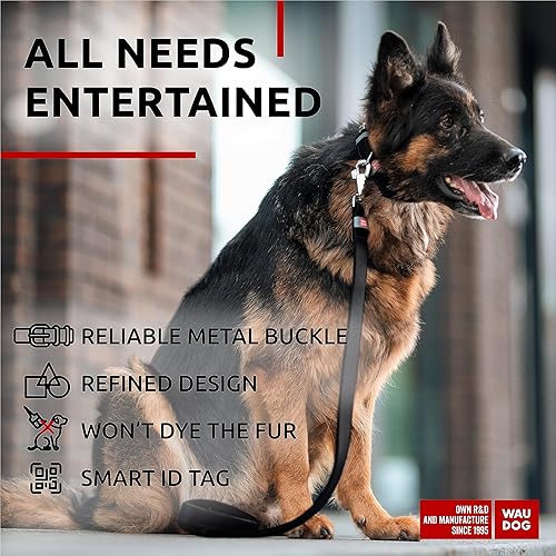 Miniatura 4 de WAUDOG Collar de cuero de larga duración para perros grandes, medianos y pequeños Collares clásicos ajustables para cachorros de raza grande