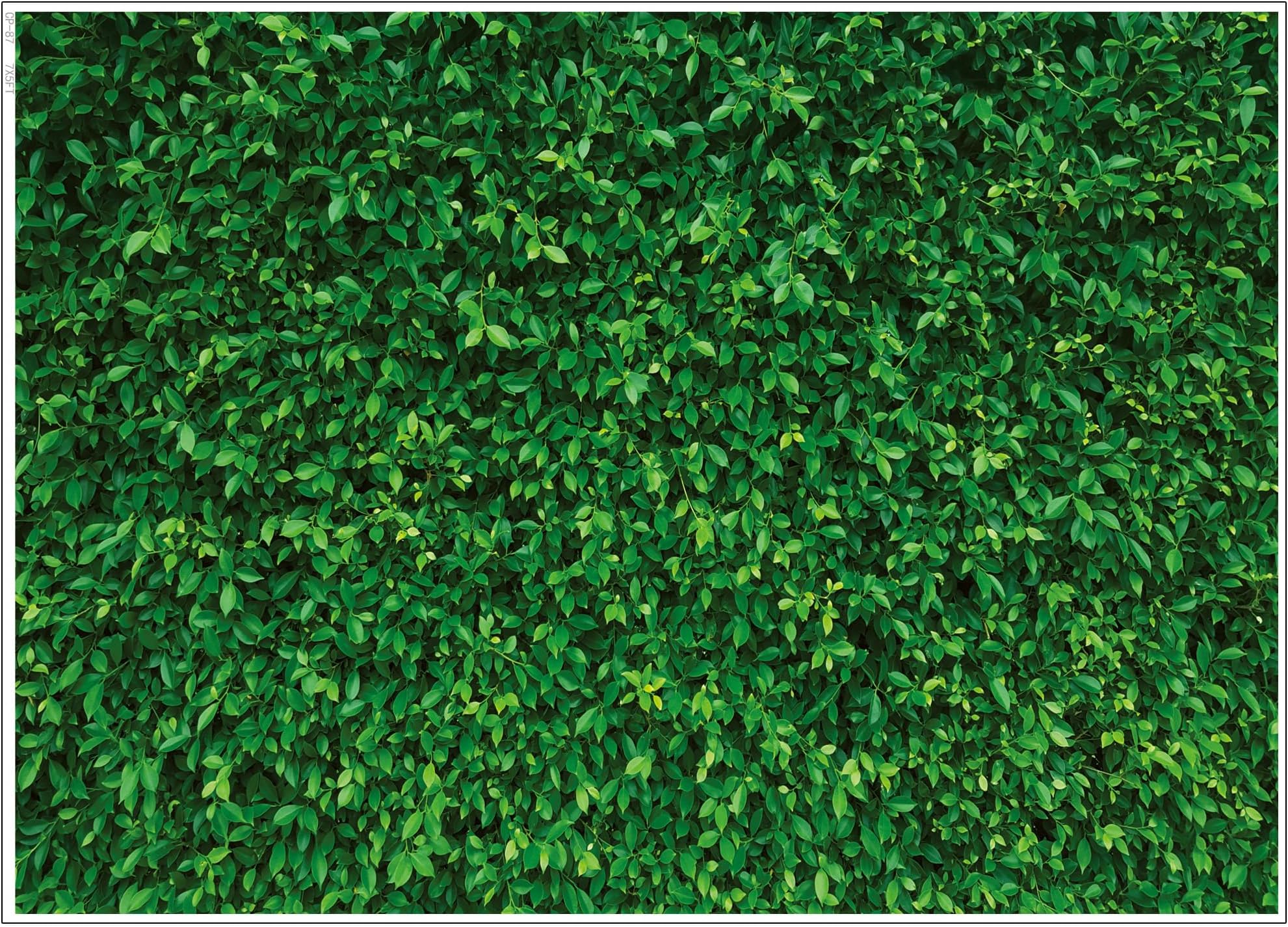 LYWYGG 7x5FT Green Leaves Photography Backdrop Jungle Backdrop Clear Color Foldable Easy To Carry for Birthday Party Outdoor Activity Studio Props CP-87