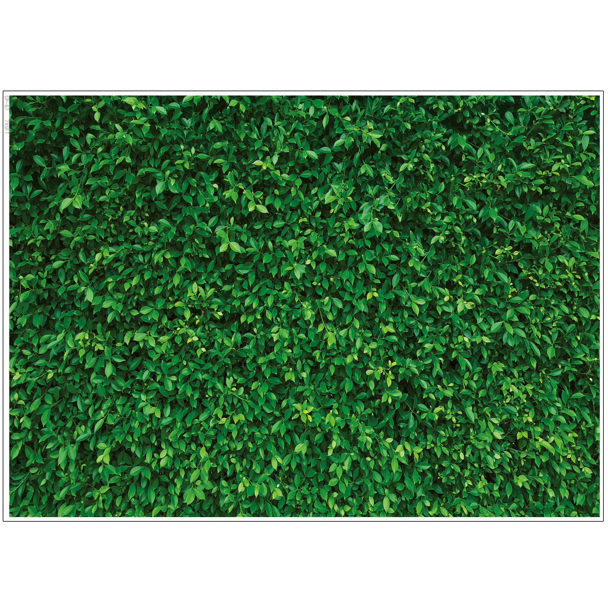 LYWYGG 7x5FT Green Leaves Photography Backdrop Jungle Backdrop Clear Color Foldable Easy To Carry for Birthday Party Outdoor Activity Studio Props CP-87