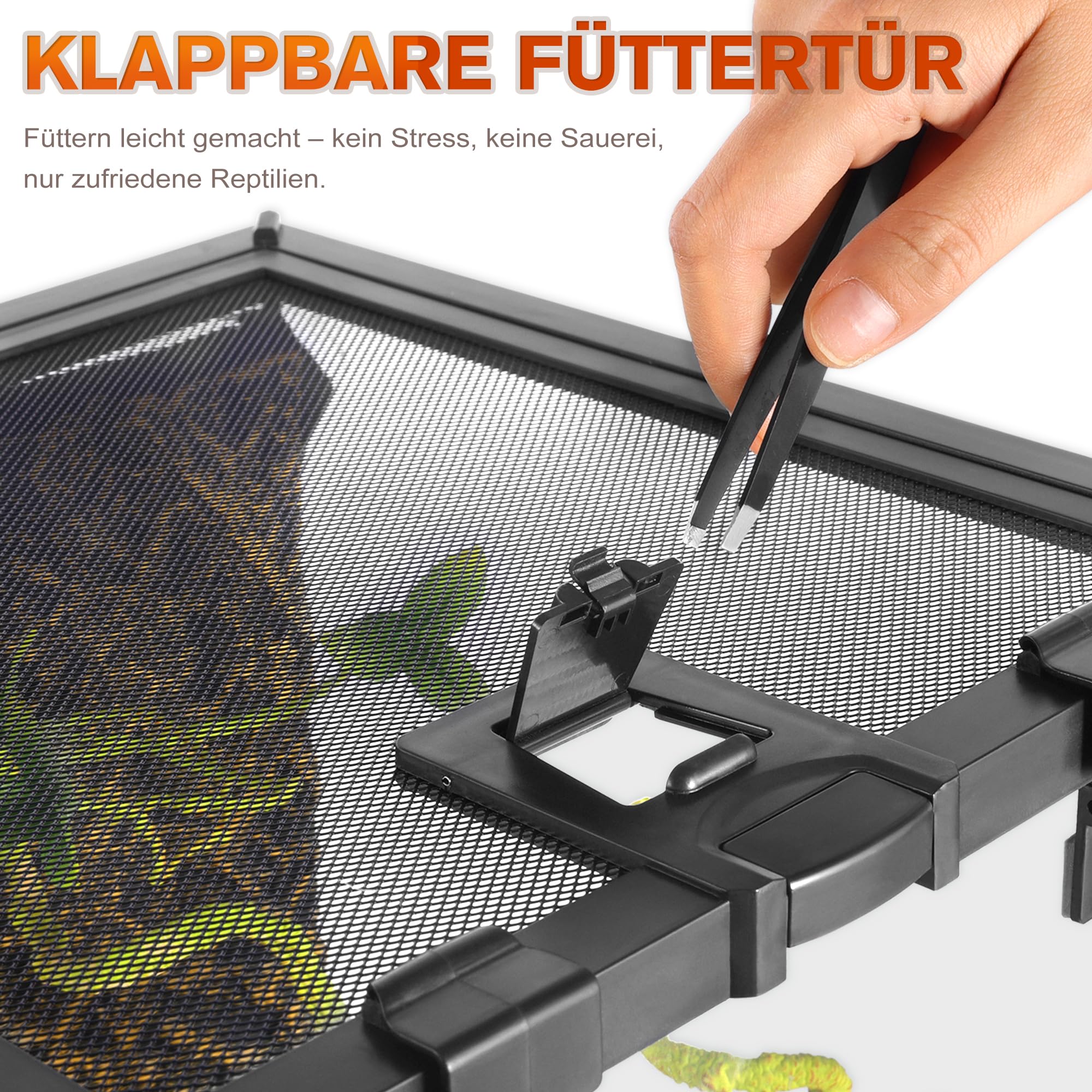 Mini-Reptilien-Glas-Terrarium, 30 x 20 x 14.5 cm, Vollsicht-Tank, kleine Amphibien, Glas-Lebensraum, Käfig mit Futterschlitz und Kastenschloss