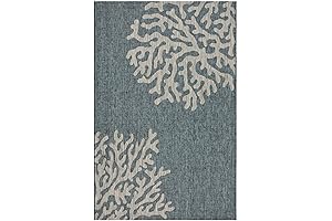 LR Home Captiva Outdoor Coastal Rug for Home Décor