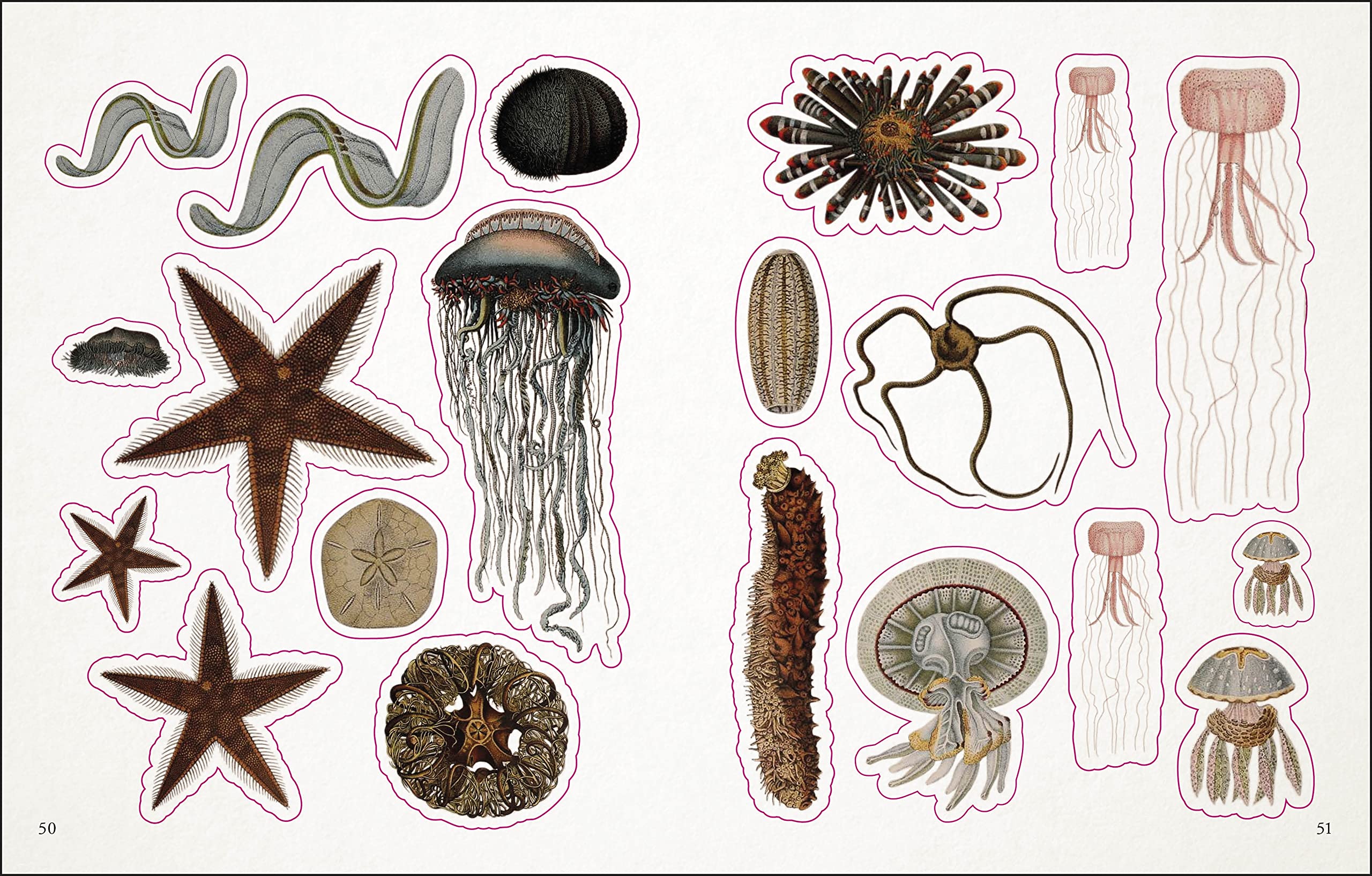 The Seashore Sticker Anthology: With More Than 1,000 Vintage Stickers