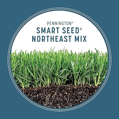 Miniatura 6 de Pennington Smart Seed Northeast Grass Mix 20 libras, resistente a la sequía y cubre 6,600 pies cuadrados