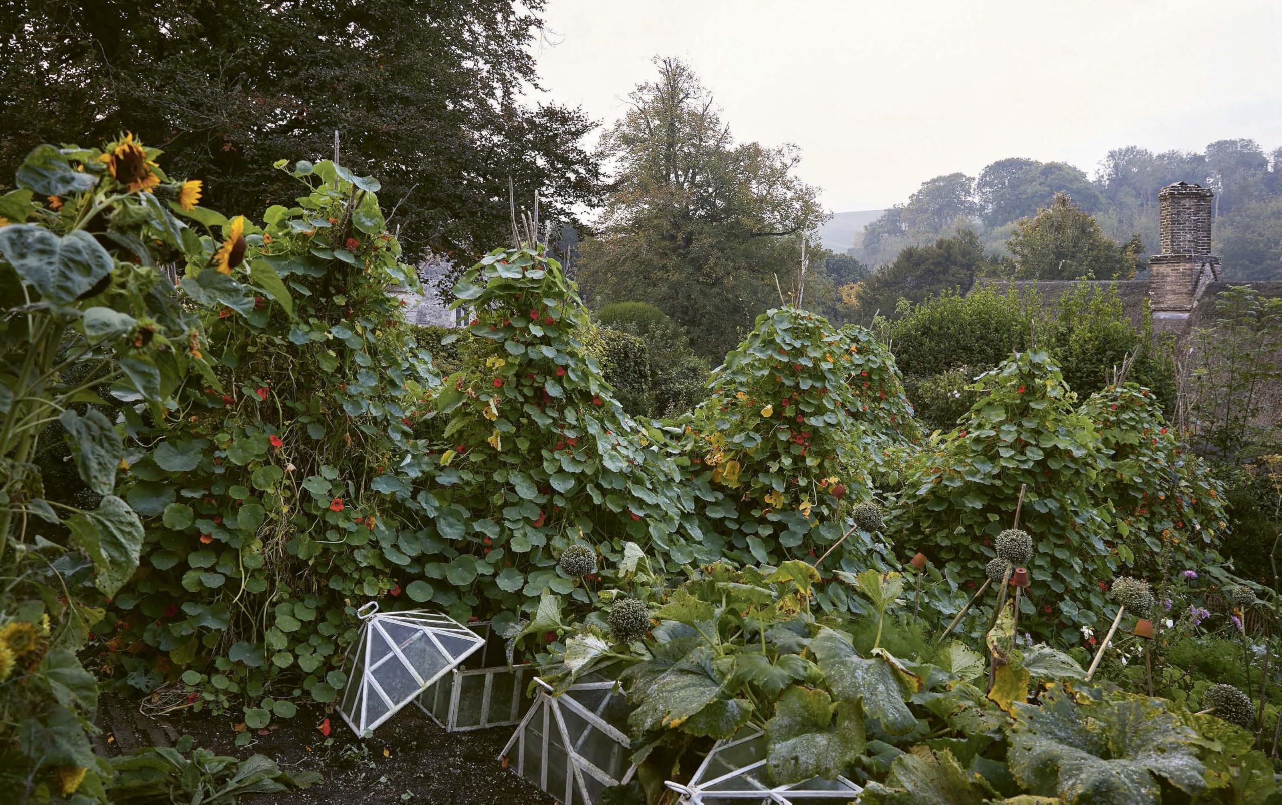 A Year at the Parsonage: The Story of a House & Garden