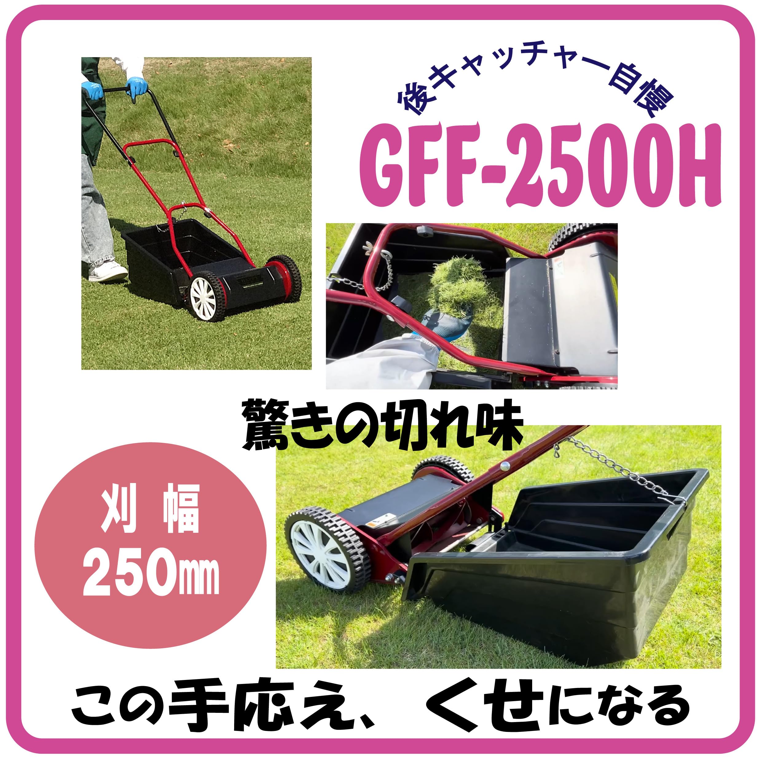 Amazon.co.jp: キンボシ(Kinboshi)ゴールデンスター ハッピーファイン