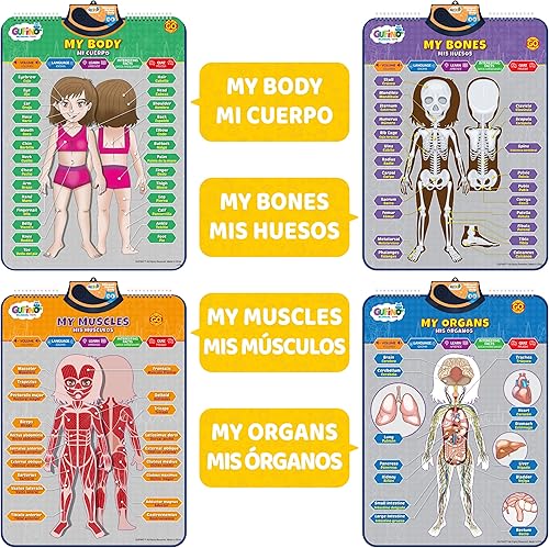 Miniatura 27 de Gufino Tabla de pared del alfabeto - Juguetes bilingües con botones táctiles interactivos para aprendizaje independiente y guiado - Ideal