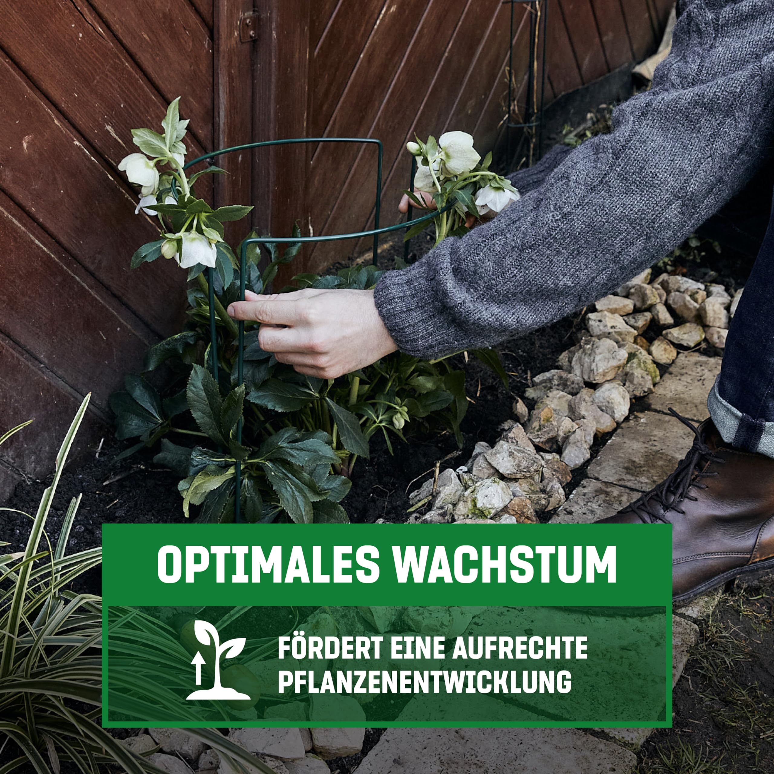 GardenGloss Strauchstützen (10 Stück) - Halbrund Staudenhalter - 70 x 40cm | Beschichteter Stahl - Für Hortensien & Rosen - Für Blumen & Stauden - Stabiler Halt