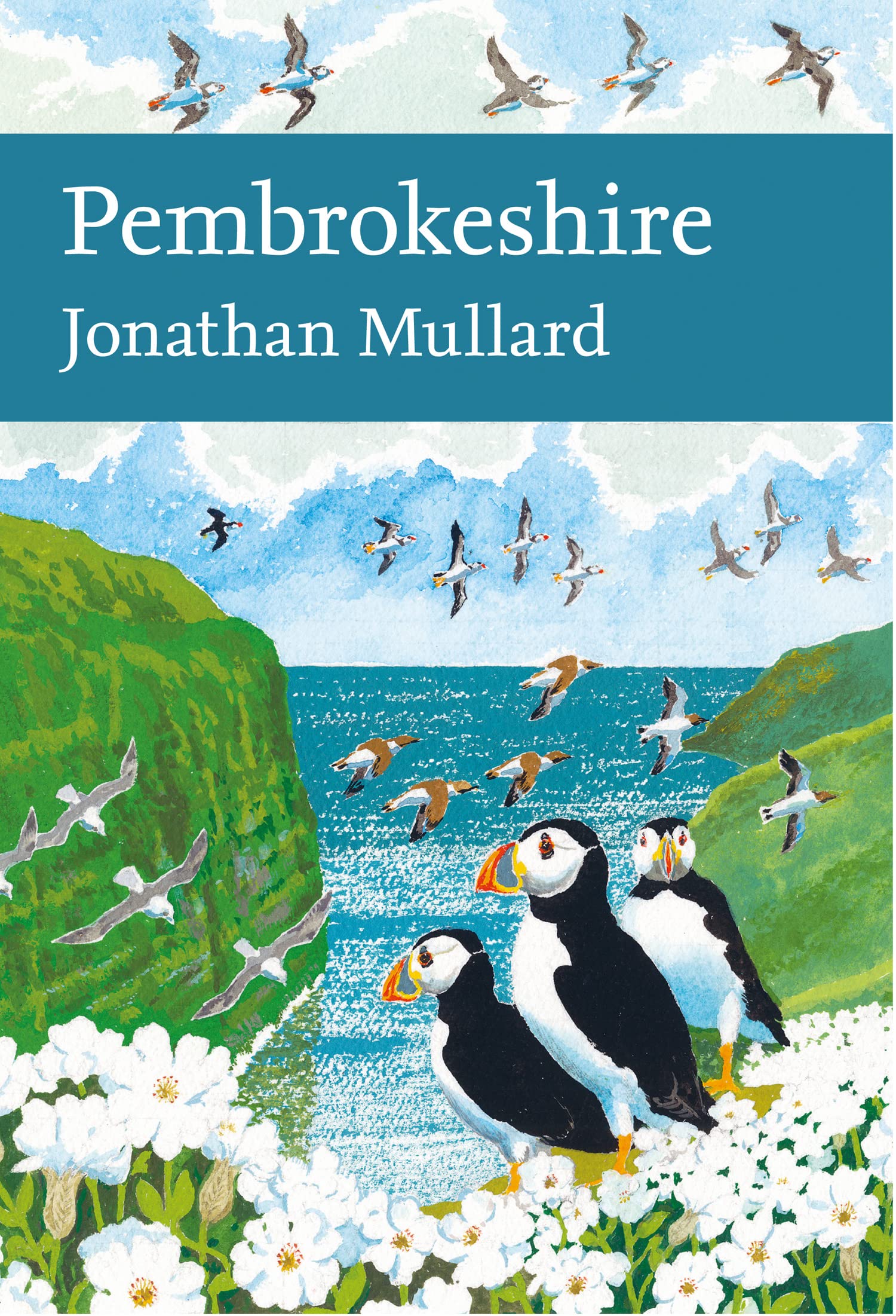 Pembrokeshire: A New Naturalist Guide to the Incredible Biodiversity and Coastal Landscapes of Wales: Book 141 (Collins New Naturalist Library)
