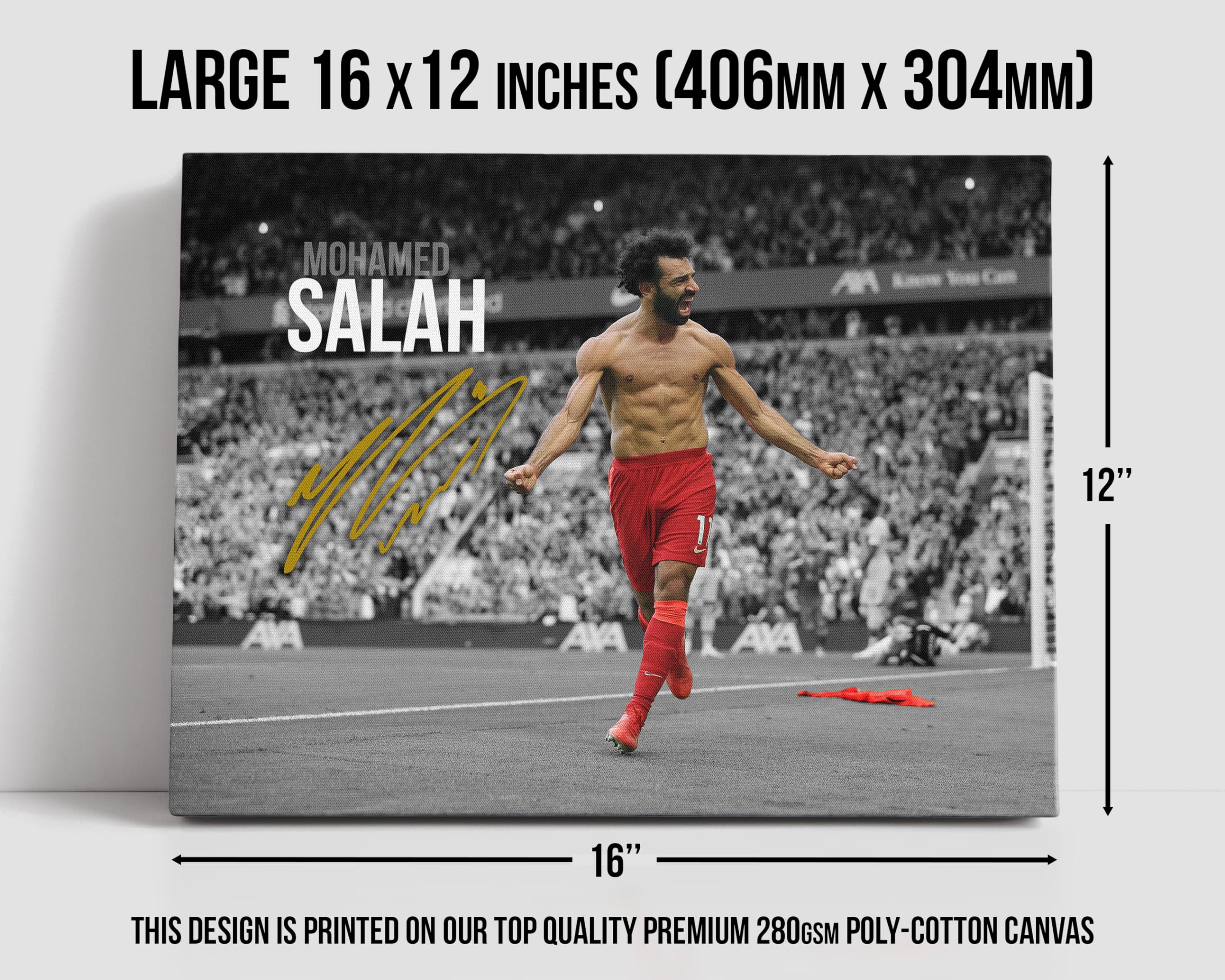 HWC Trading Mohamed Mo Salah Liverpool 16 x 12 inch Canvas Print Signed Autograph for Football Fans and Supporters - Canvas Only - Image 3