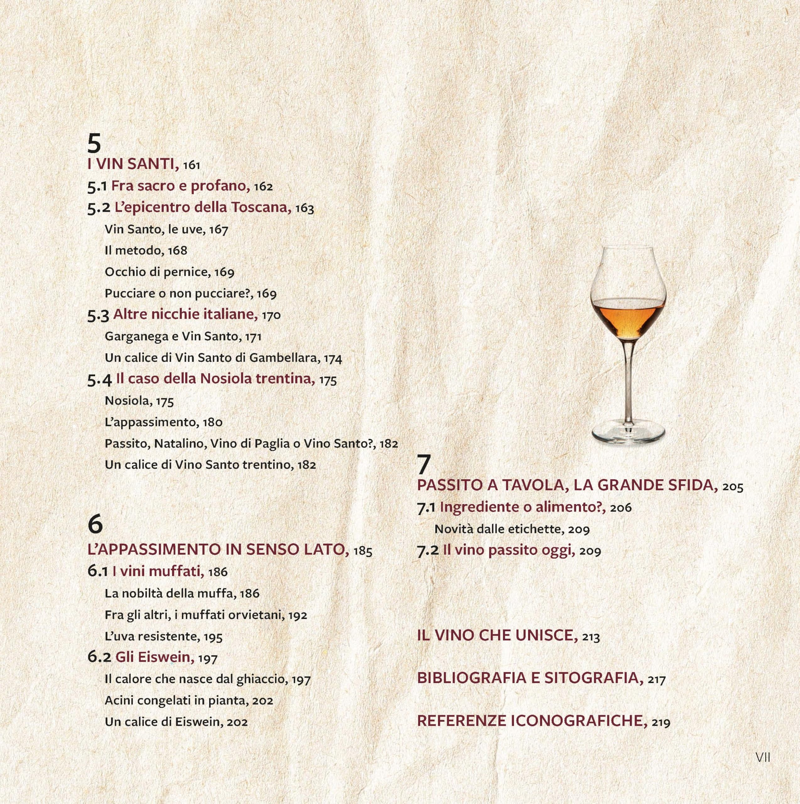 Vini passiti d'Italia. Un viaggio passo dopo passo. Ediz. a colori
