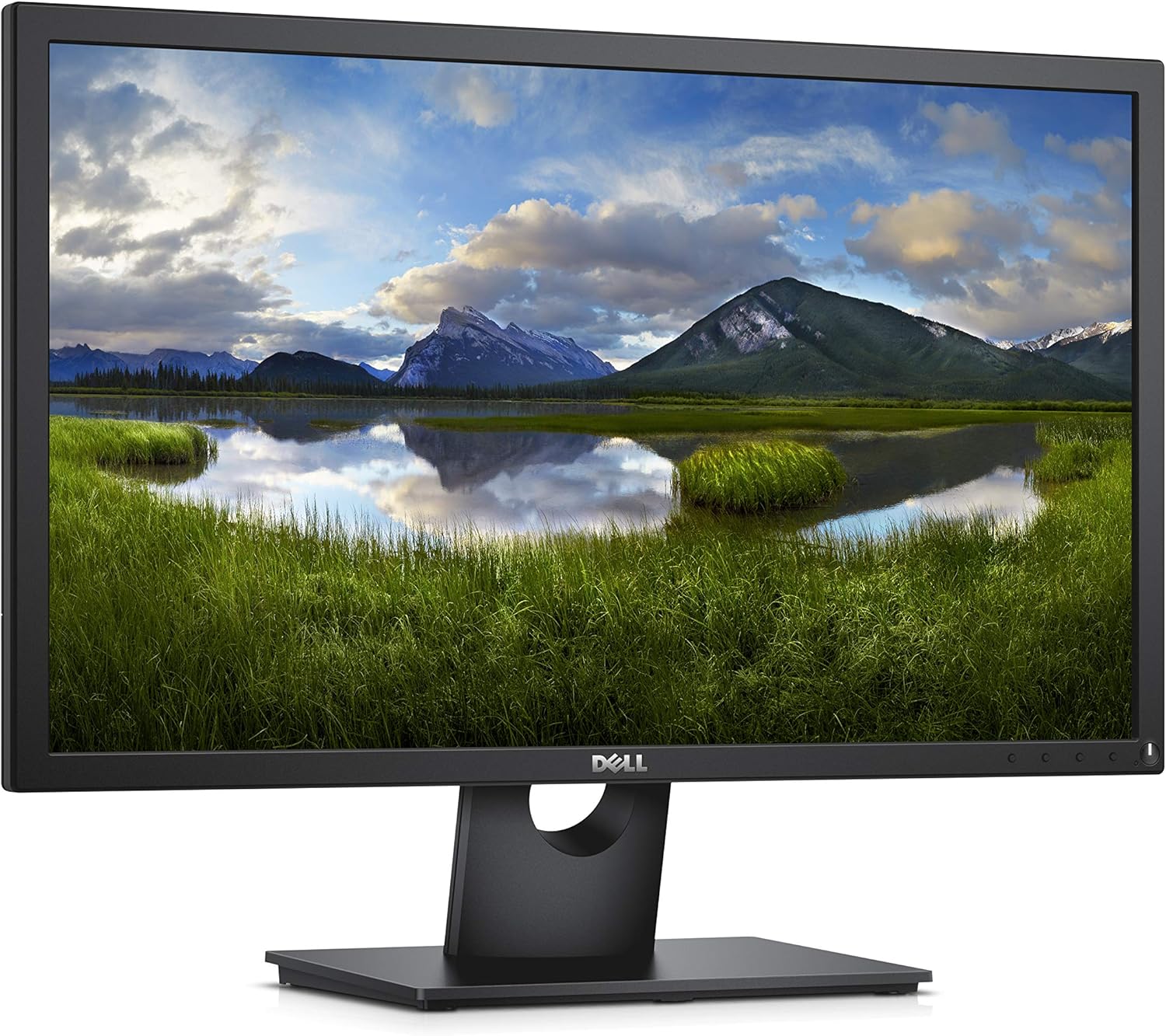 Dell 24-inch LED Widescreen Monitor
