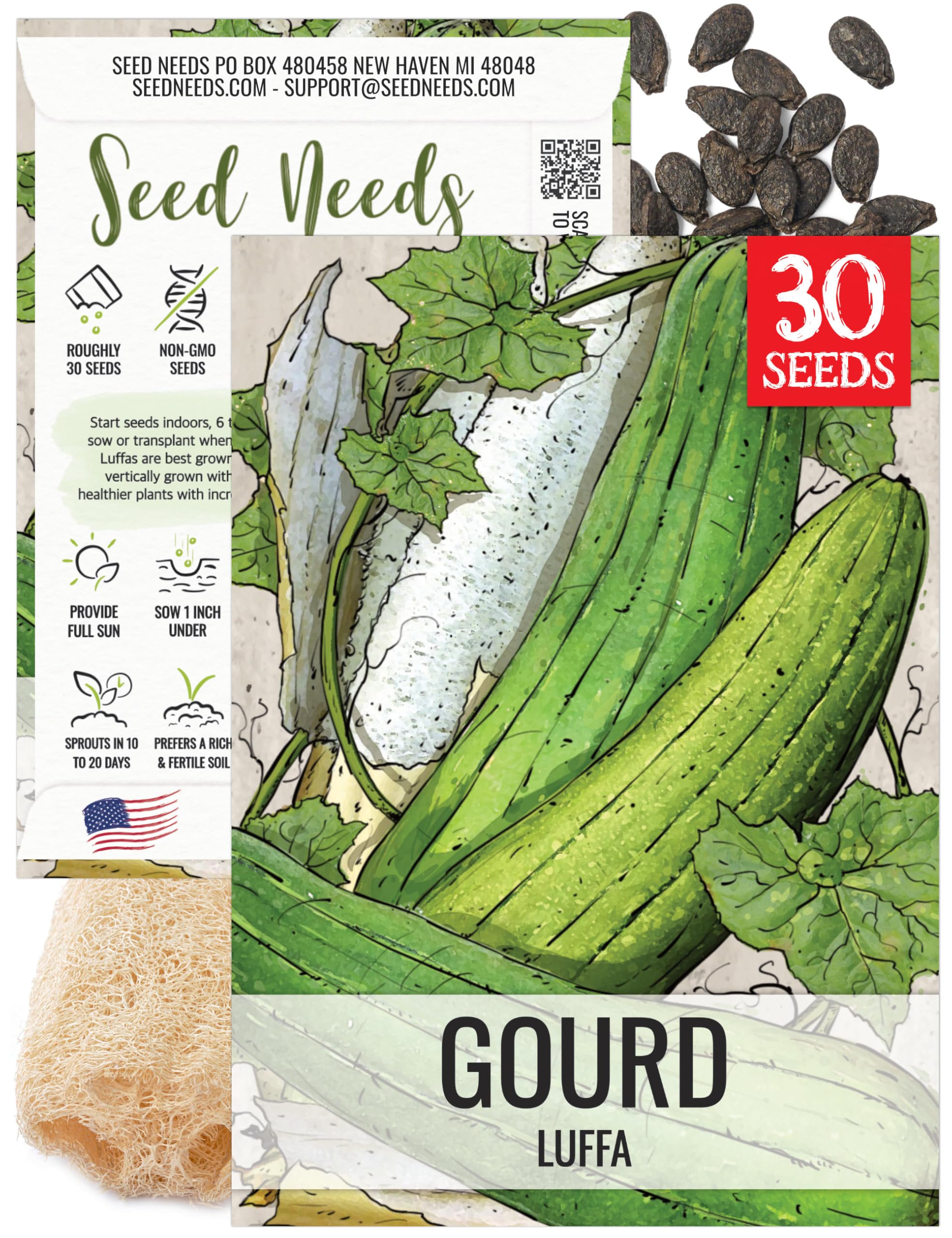 Seed Needs Luffa Seeds for Planting Loofah Sponge Gourds - Non-GMO Heirloom & Untreated Veggie Seed to Plant a Home Grown Outdoor Vegetable Garden (1 Pack)