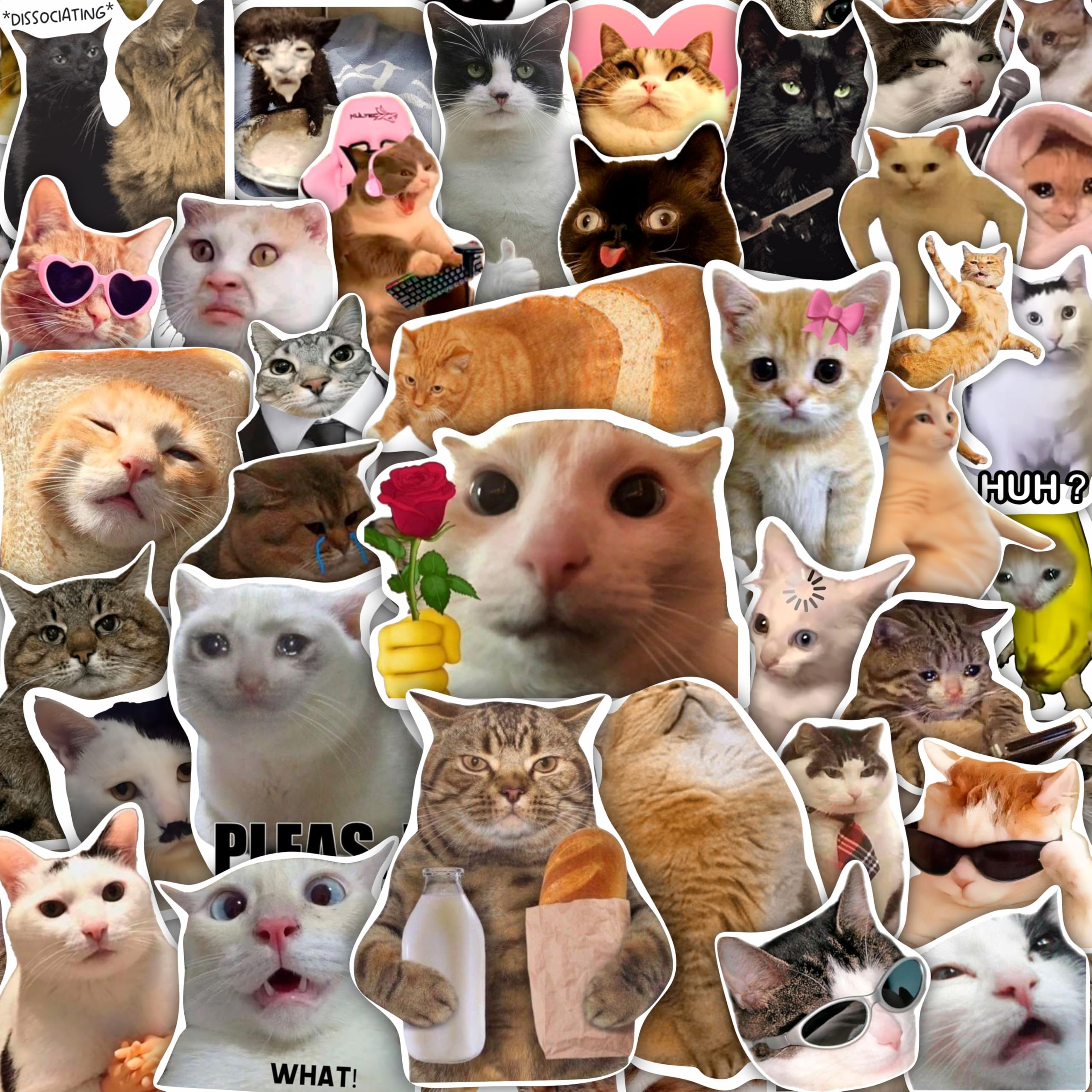 100Pcs Cat Meme Stickers, Funny Cat Sickers for Water Bottle - Pet Meme Party Decorations, Favors - Funny Decals - Gift for Women & Men