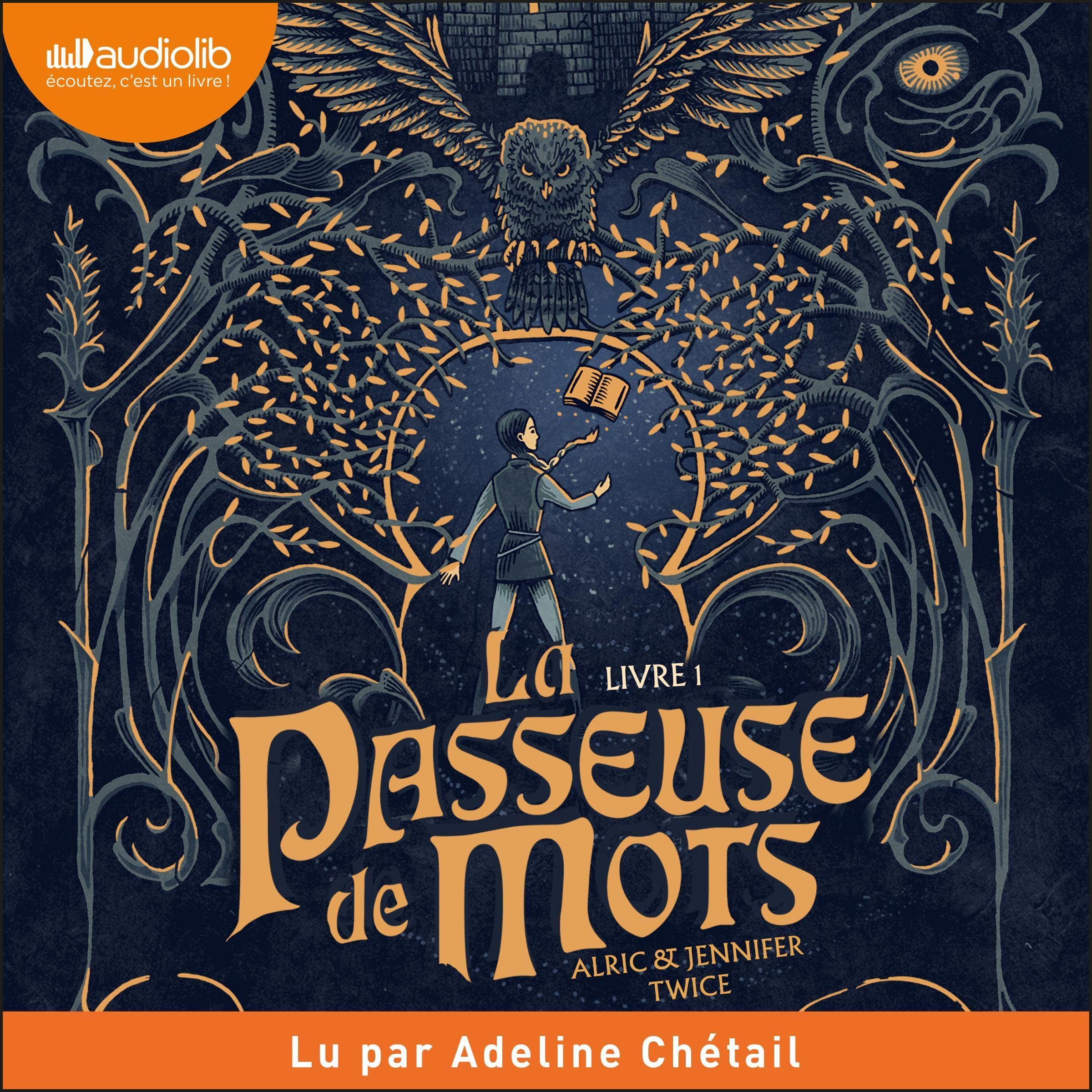 Cover art for La Passeuse de mots