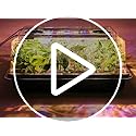 Seed-Starter-Tray-with-Grow-Light-96-Cell-Seed-Starter-Kit-Seedling-Starter-Trays-with-Humidity-Domes-Automatic-Timer-Adjustable-Light-Indoor-Gardening-Plant-Germination-Trays