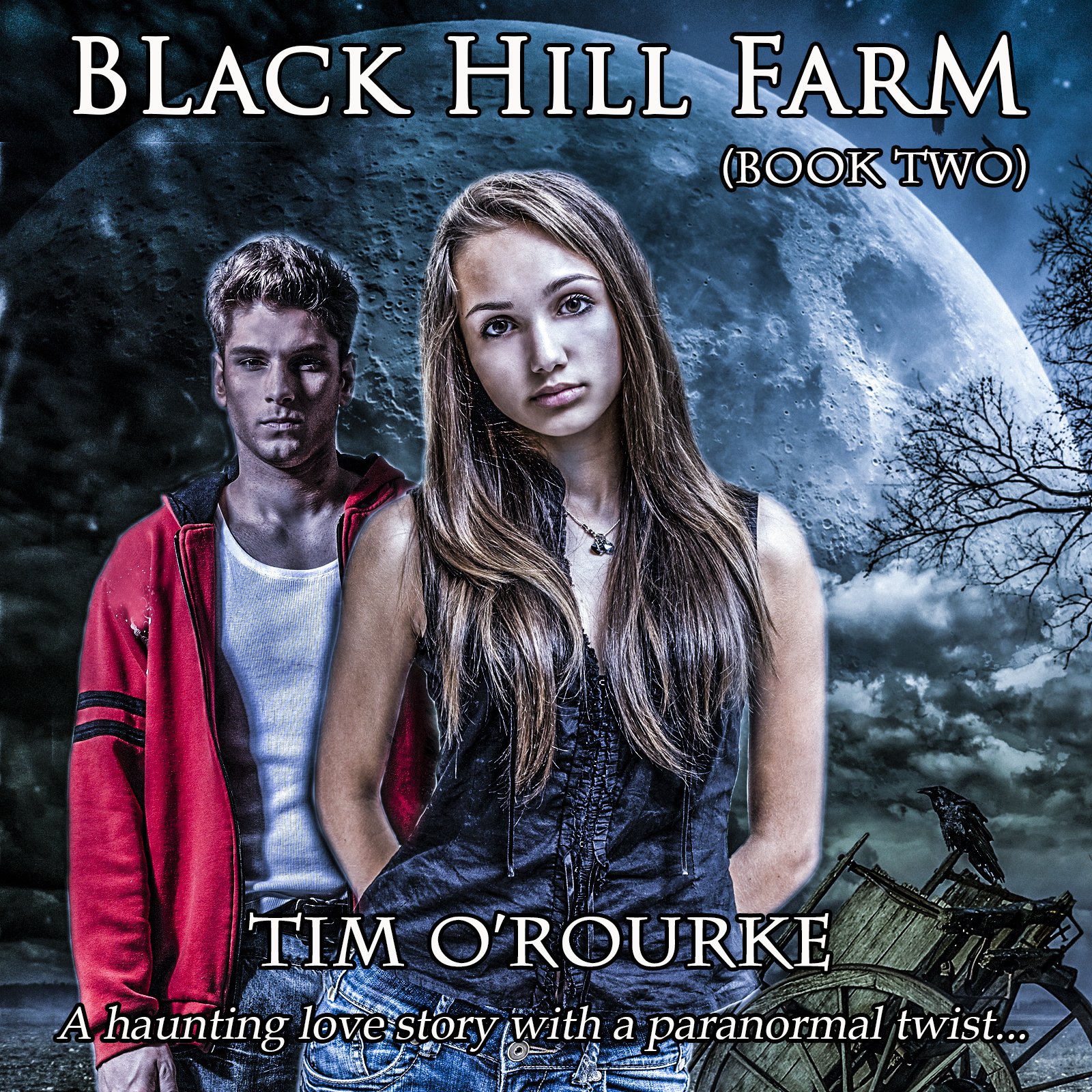 Cover art for Andy's Diary: Black Hill Farm, Book 2