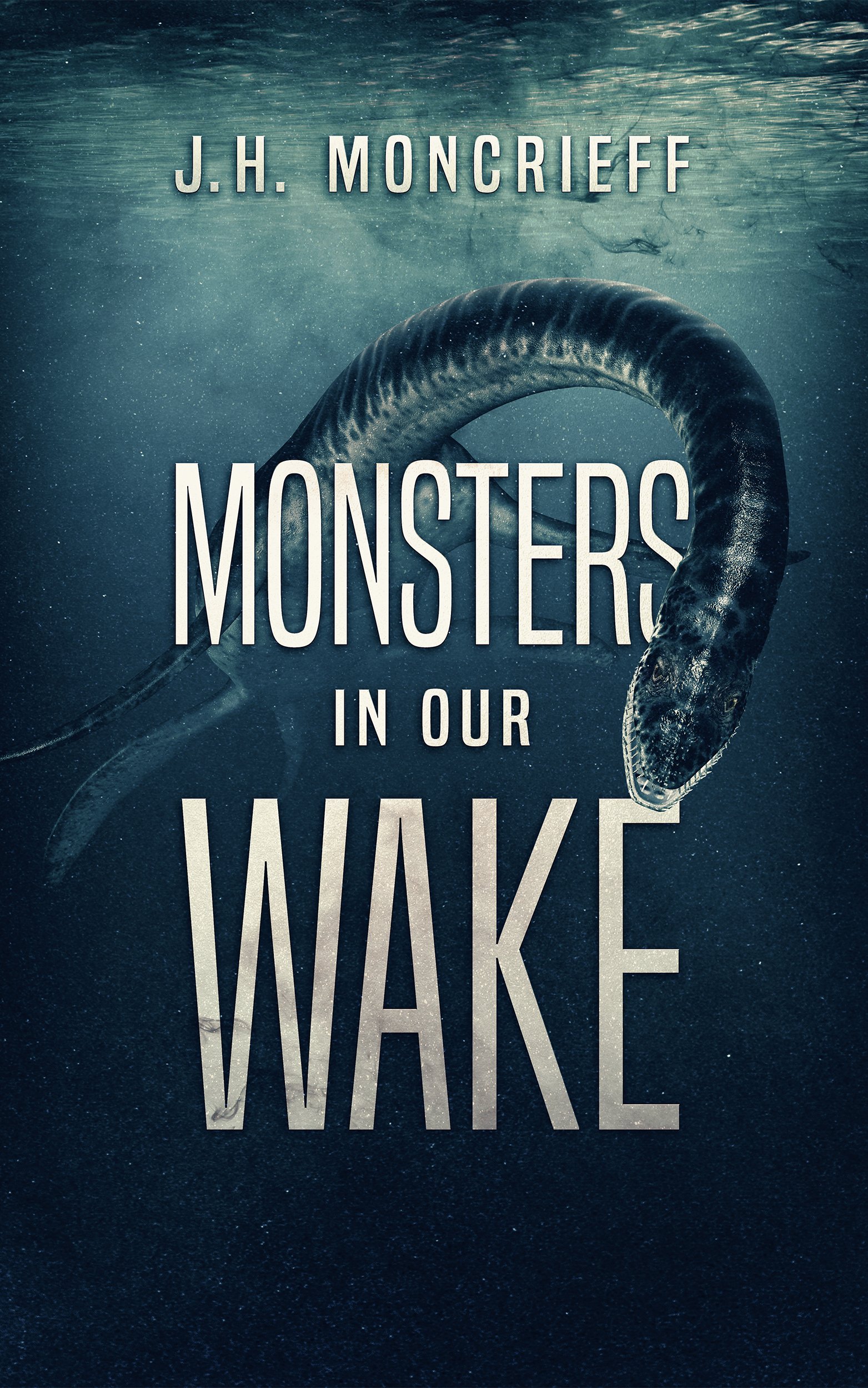 Cover of Monsters in Our Wake