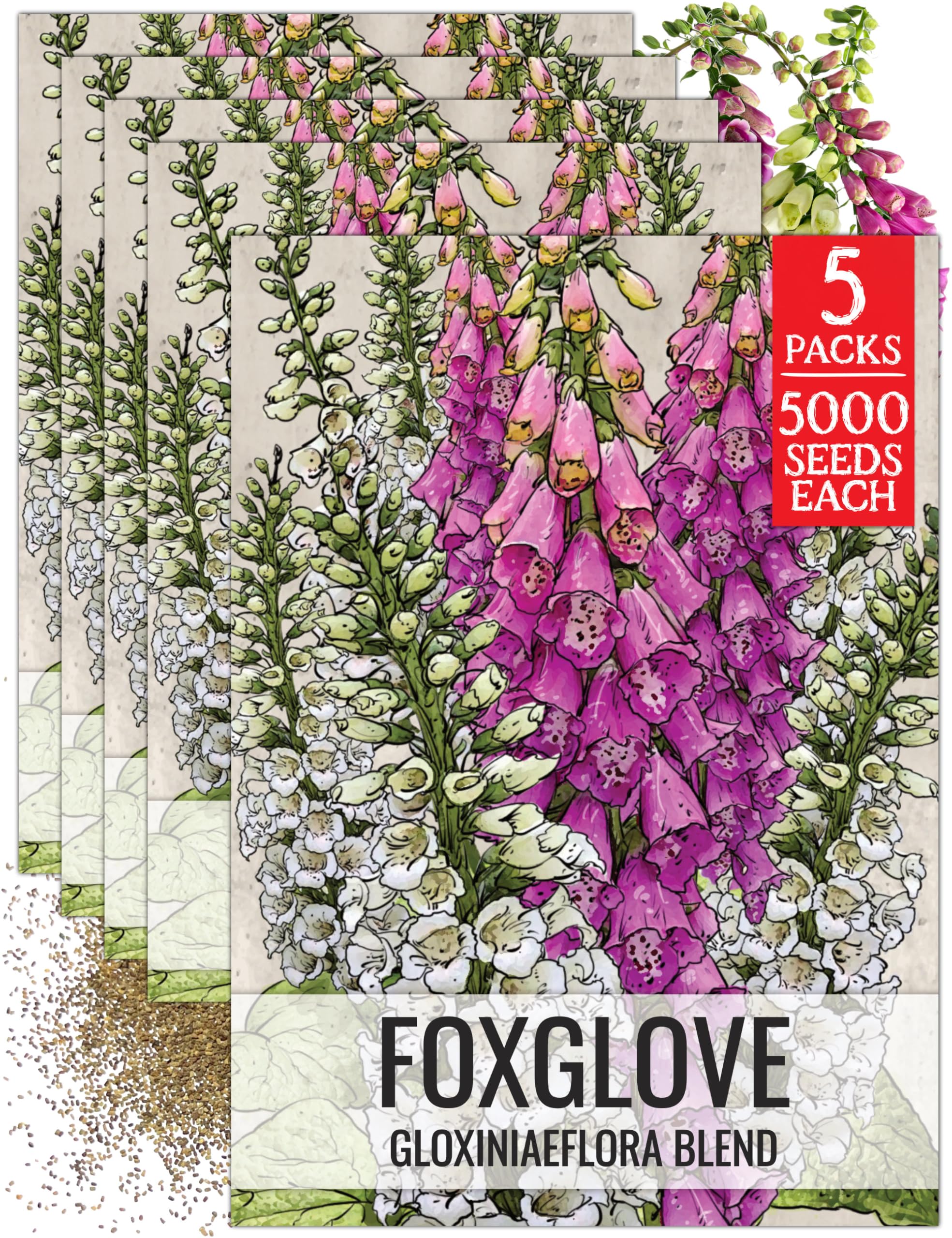 Seed Needs Gloxiniaeflora Foxglove Seeds Mixed Colors