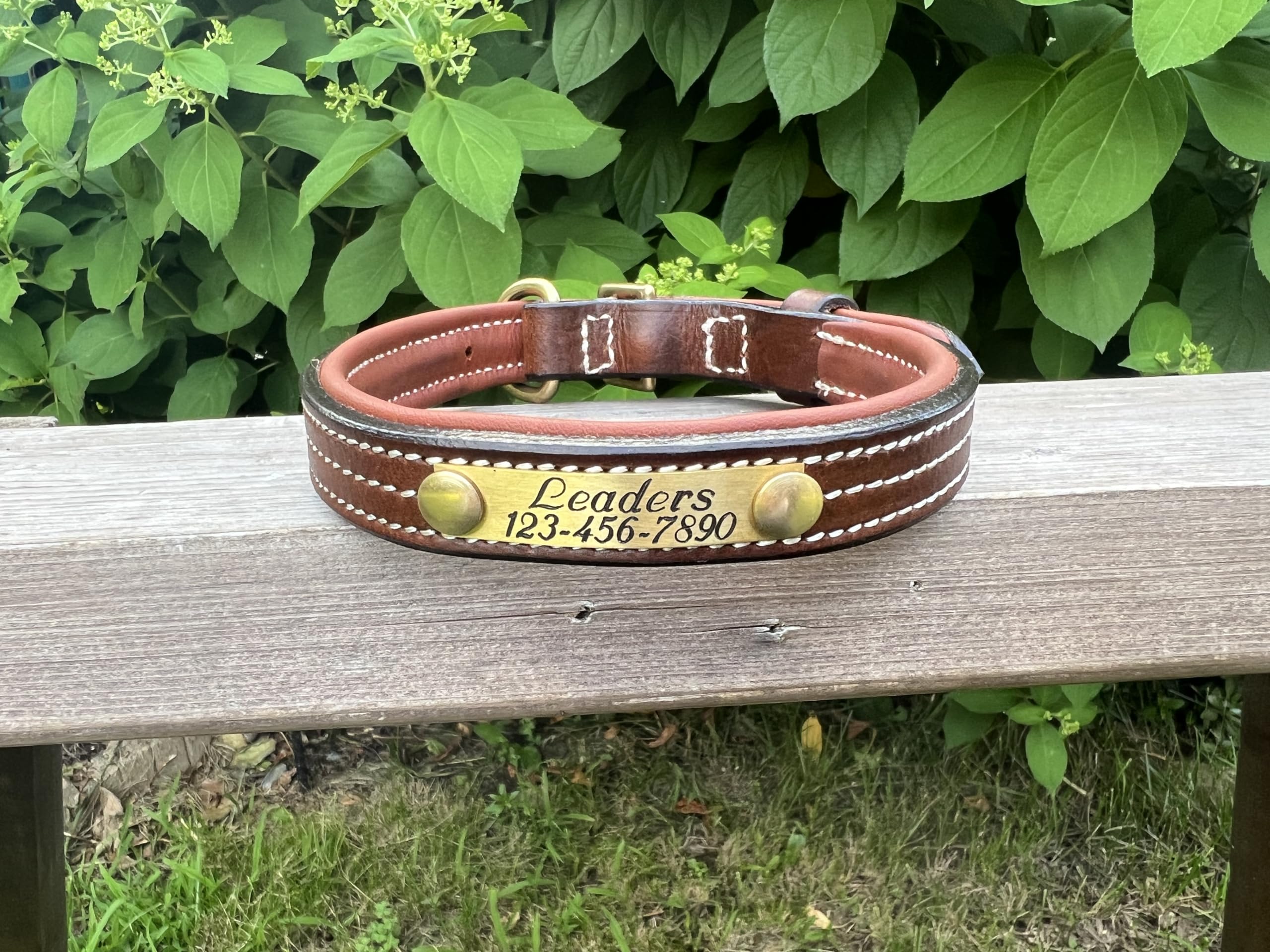 Leaders Leather Dog Collar with Customized Name Plate (Large (17"-21"))