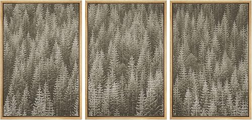 SIGNWIN Lienzo enmarcado para pared, juego de decoraciĂłn de guarderĂa de bosque, grano de pelĂcula, retro, bosque blanco y negro, valle de la SIGNWIN Lienzo enmarcado para pared, juego de decoraciĂłn de guarderĂa de bosque, grano de pelĂcula, retro, bosque blanco y negro, valle de la