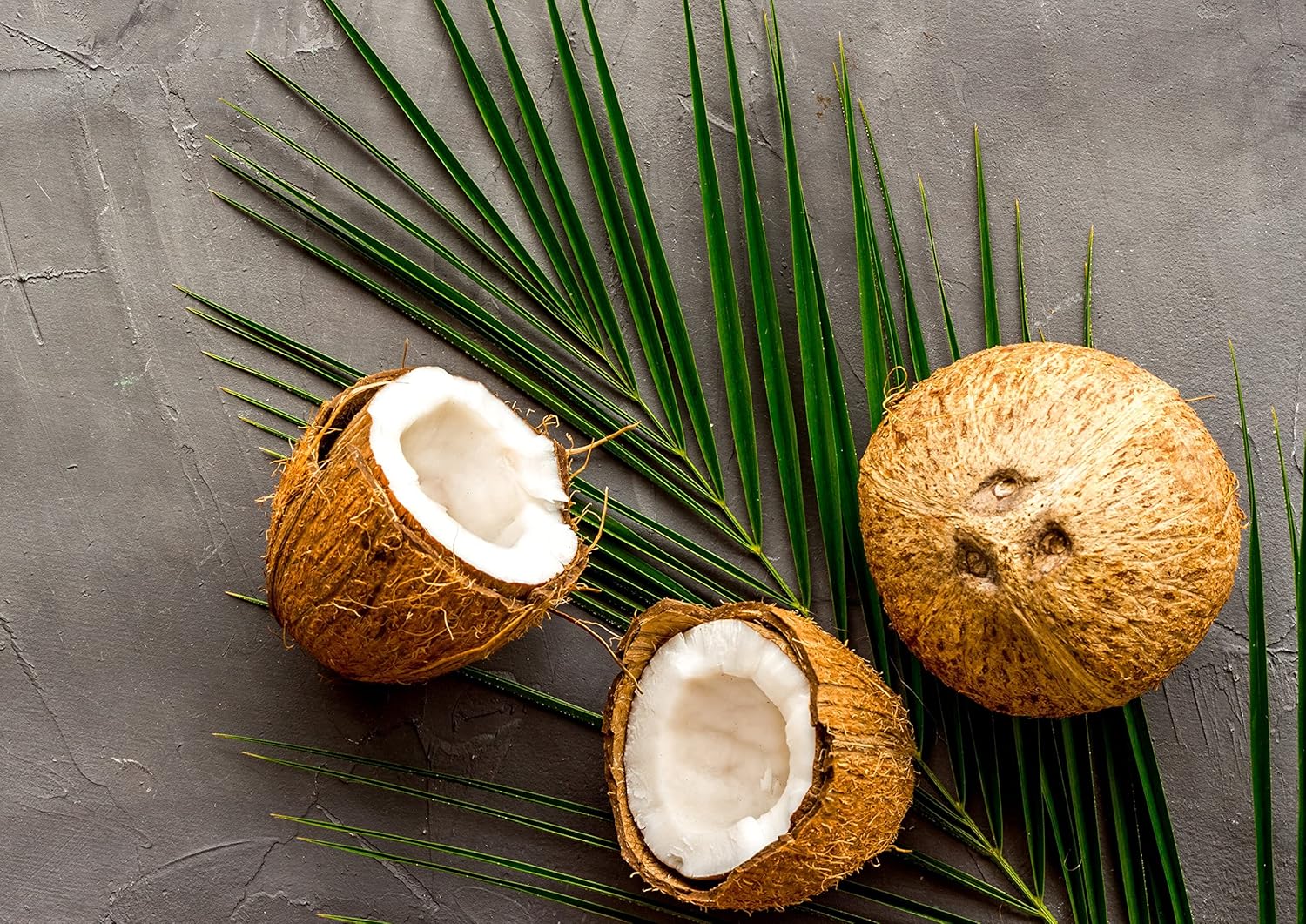 Food to Live Organic Toasted Coconut Chips, 3 Pounds - Non-GMO, Desiccated Coconut Flakes, Unsweetened, Unsulfured, Vegan, Bulk. High in Fiber. Great Snack. Perfect for Baked Goods, Granola