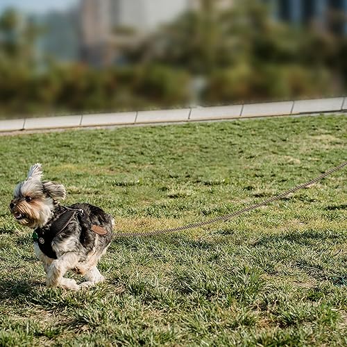 Miniatura 8 de Mile High Life Correa para perro, correas de cuerda de algodón trenzada con punta de sastre de cuero con punta de cuero, cierre de metal resistente,