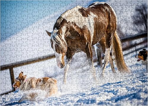 MyPuzzle American Paint Horse On Snow - Rompecabezas prémium de 500 piezas para adultos