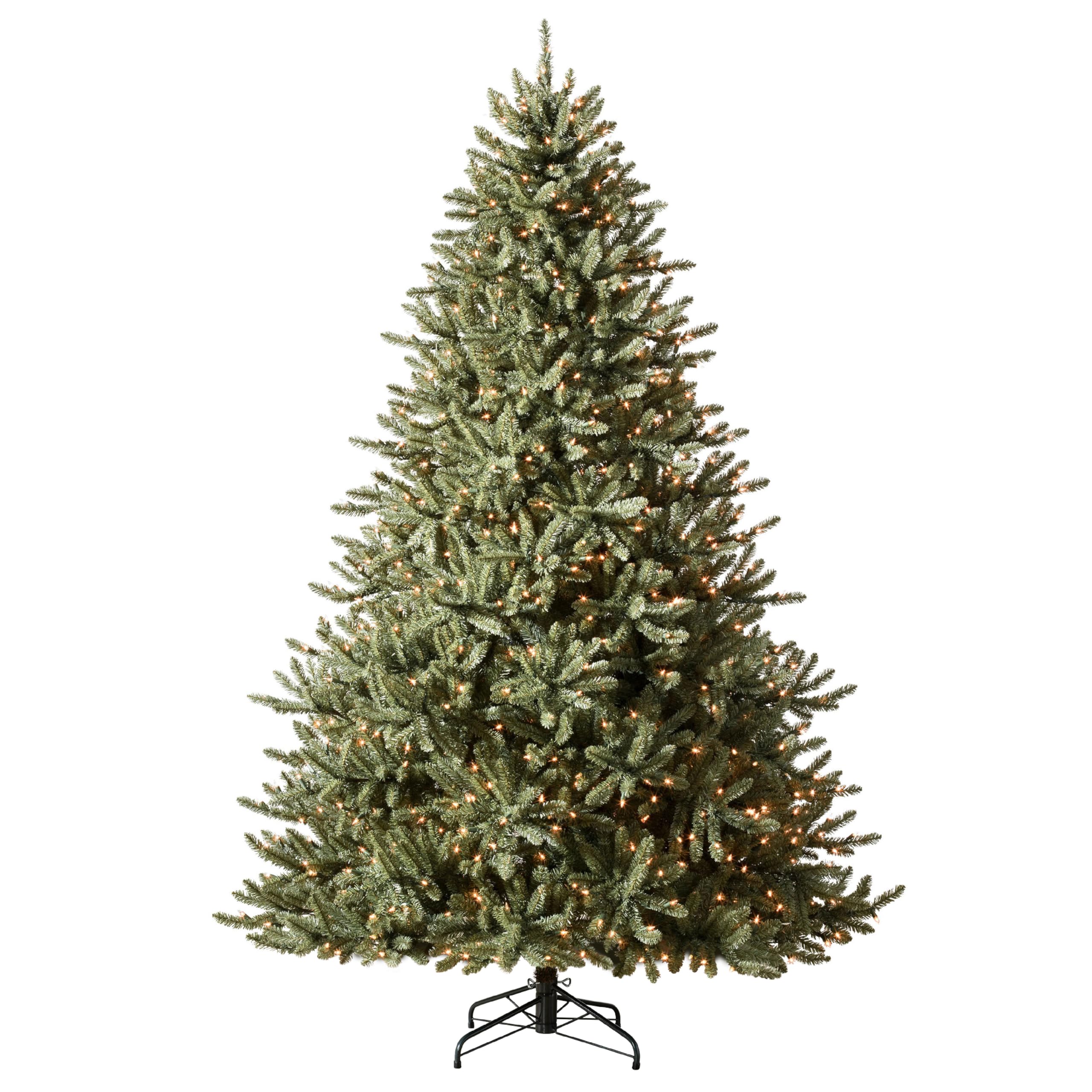 Balsam Spruce
