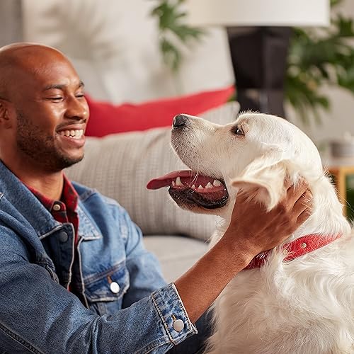 Miniatura 6 de Dog Treats milk-bone Mantequilla Sabor Variety Pack SmallMedium7LB by milk-bone