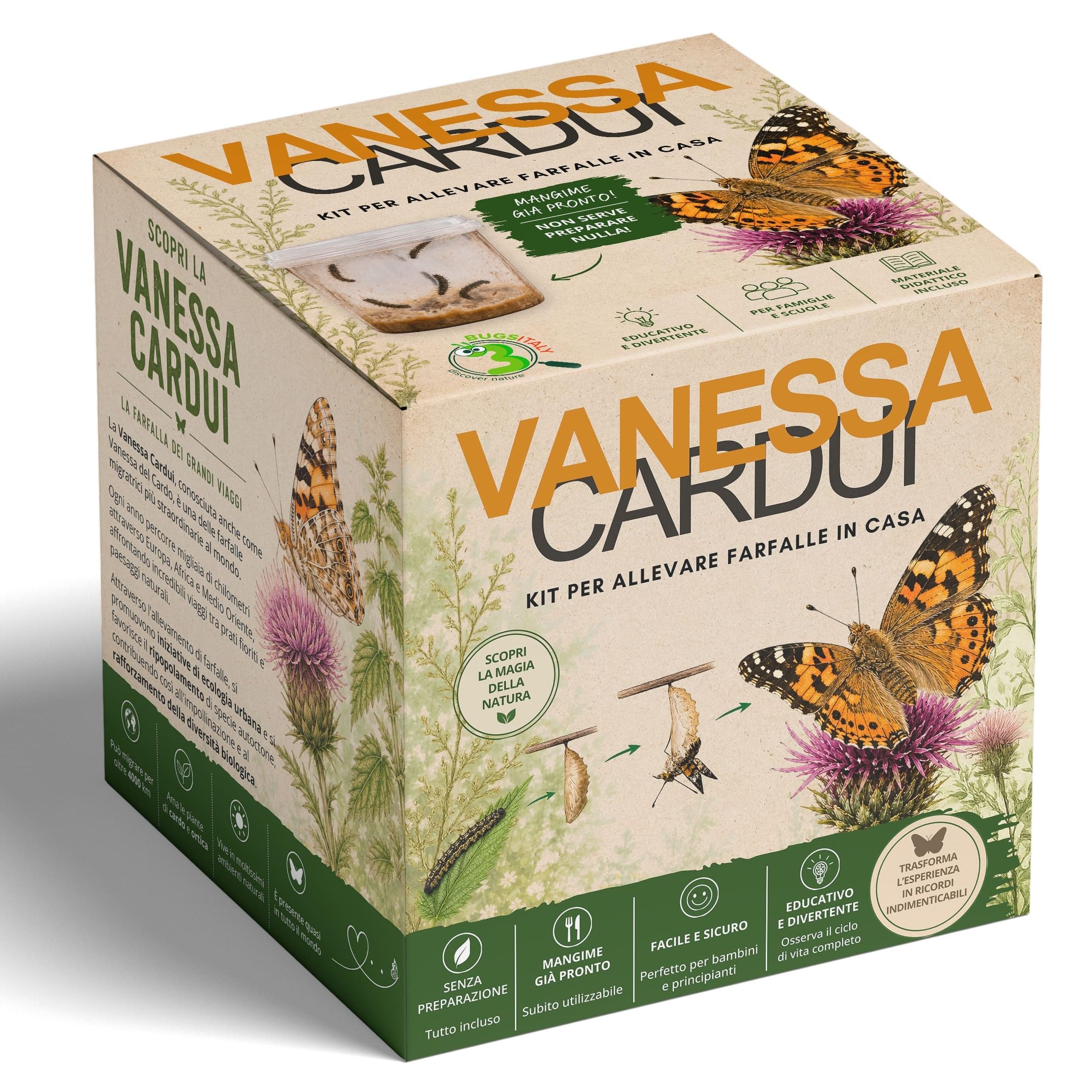 Vanessa Cardui Kit Farfalle, Il kit Farfalle da allevare in casa - Idee regalo Bambini, Regalo creativo per Bambini, Kit educativi scientifici, Giochi educativi per bambini