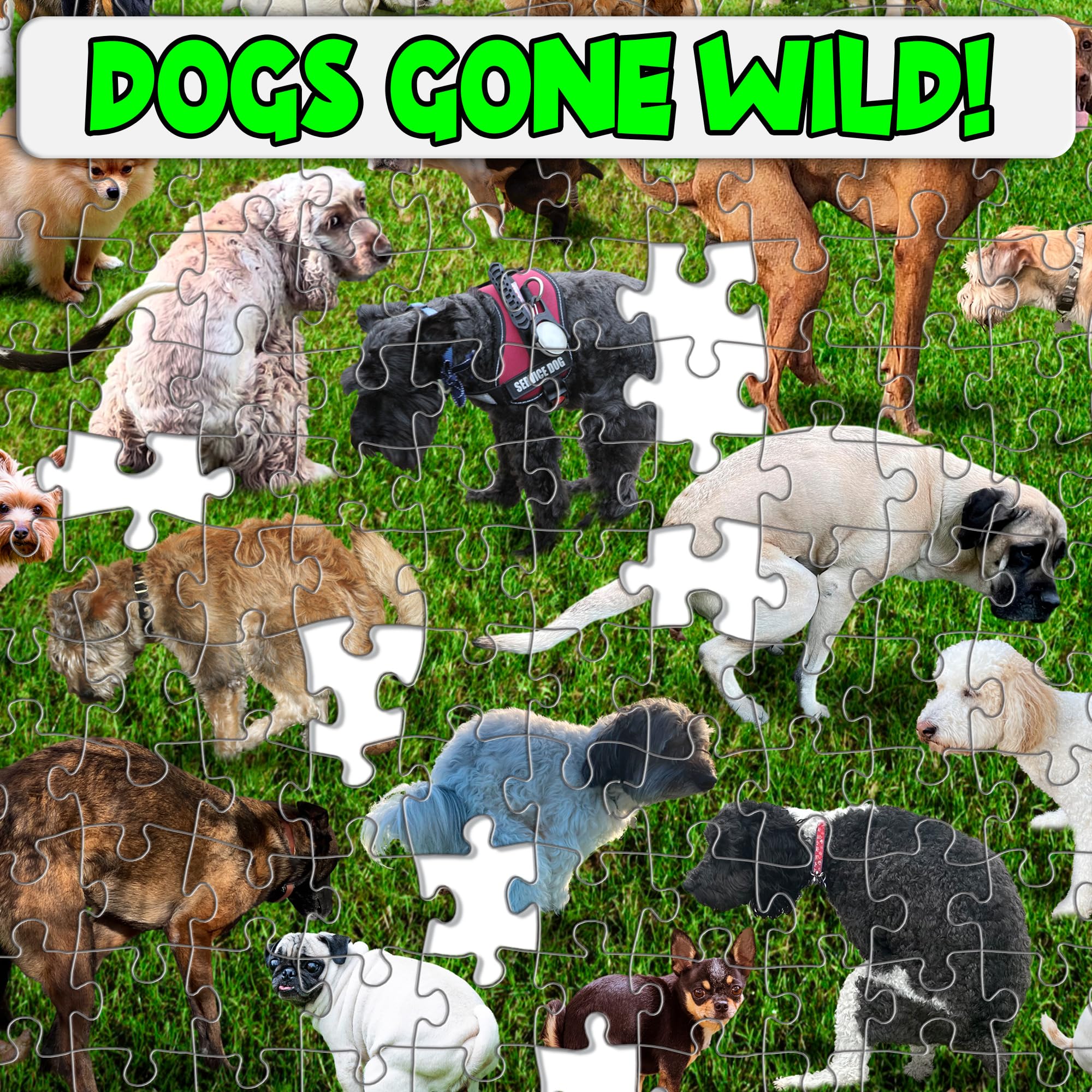 Amazon.com: Funwares Original 101 Puppies – Funny 500 Piece Jigsaw