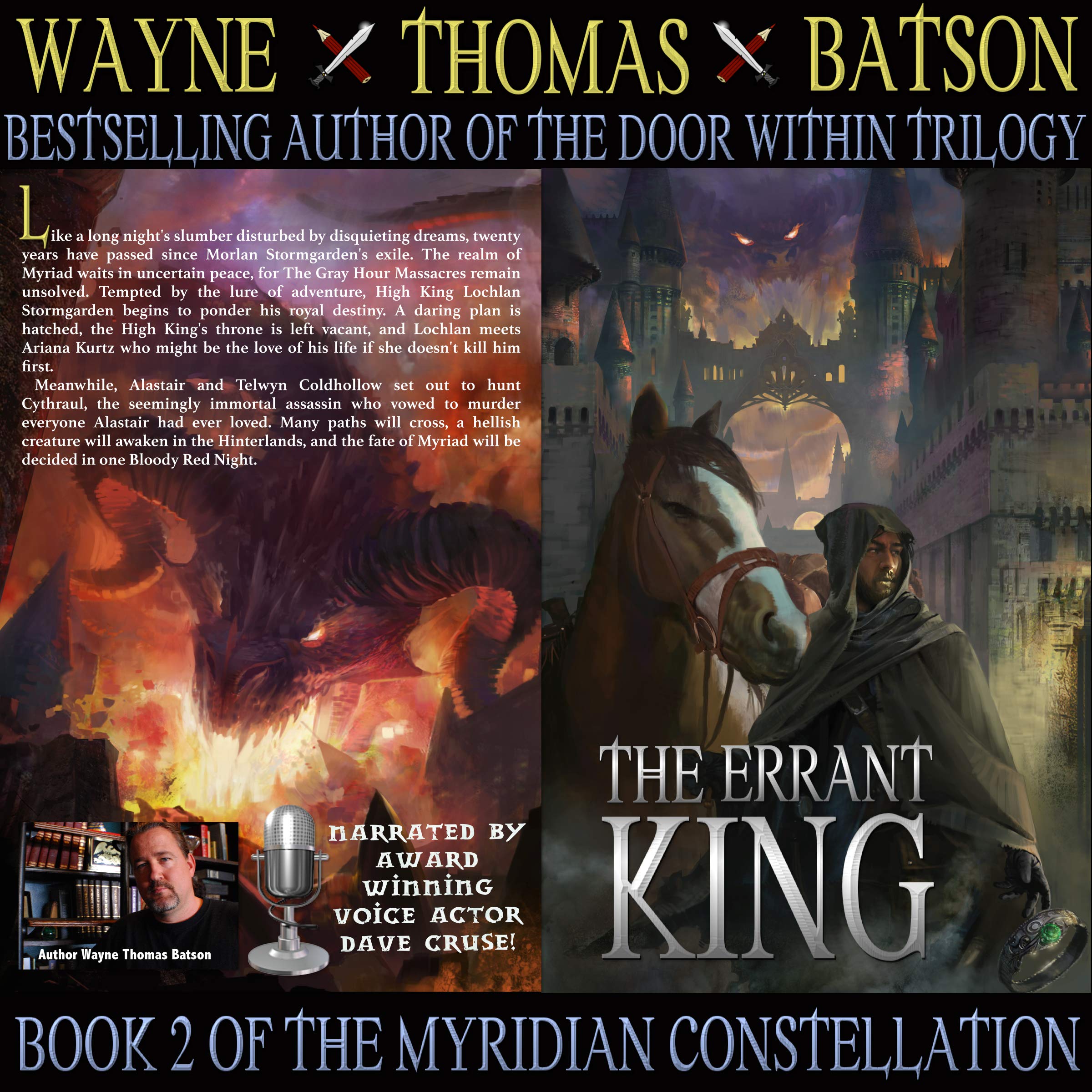Cover art for The Errant King