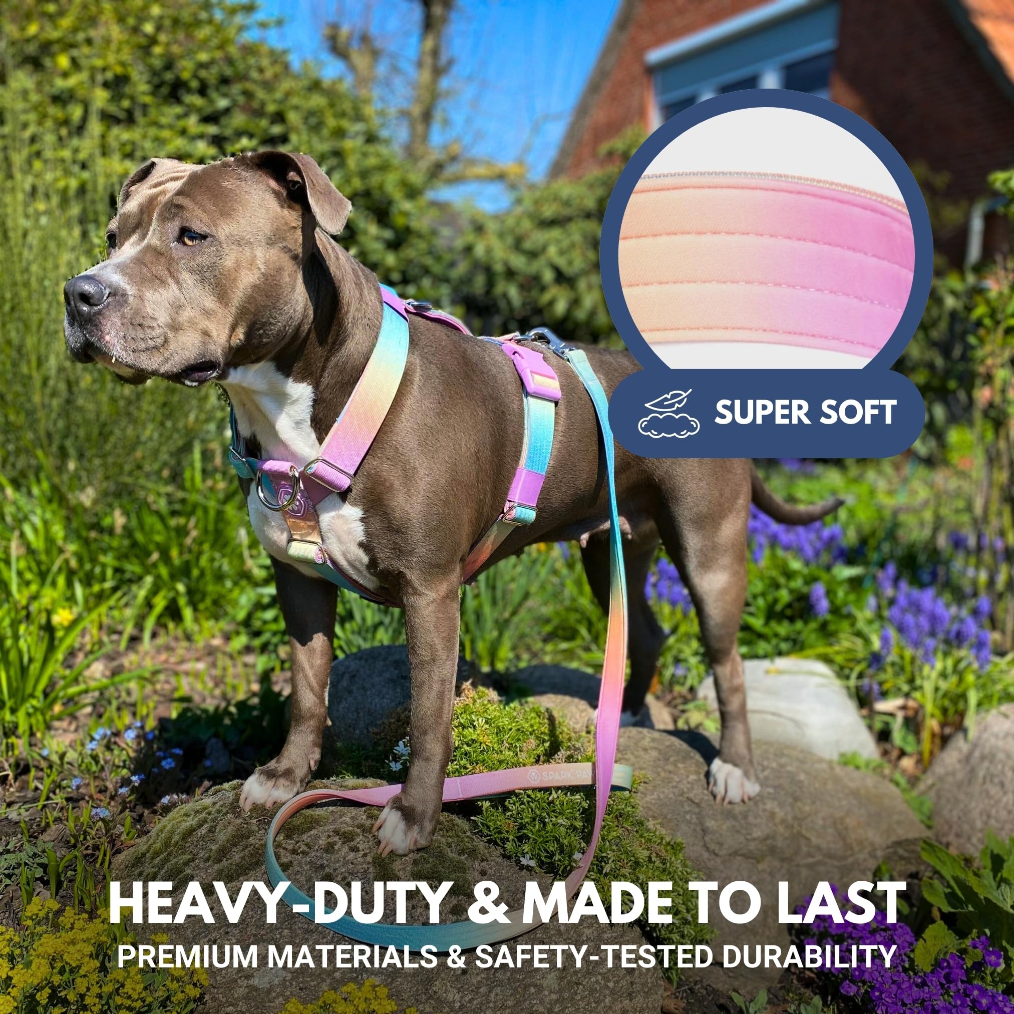 Pettorina Anti-Tiro Per Cani Taglia Grande - Clip Frontale, Neoprene Imbottito, Taglia L - Foto 4